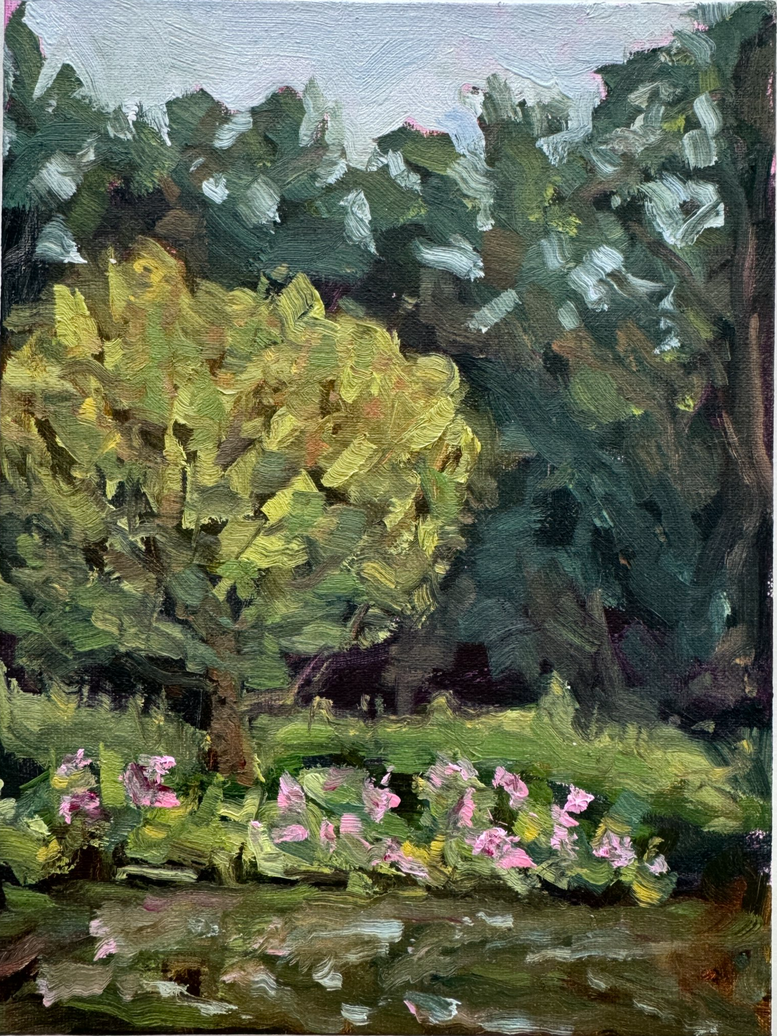 Lily Pond Study, Oil on Linen Panel, 2025 8x6