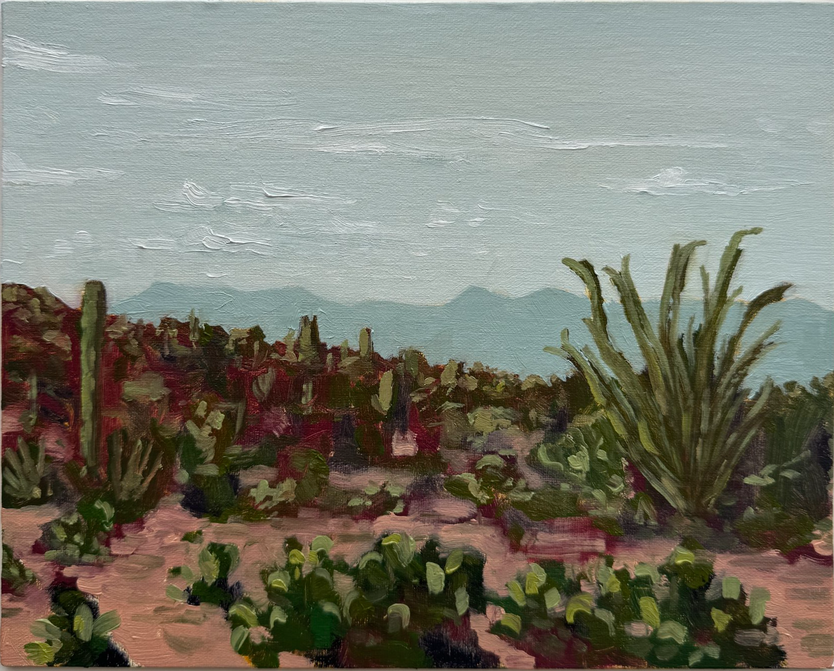 Saguaro Study, Oil on Linen Panel, 2025, 8x10