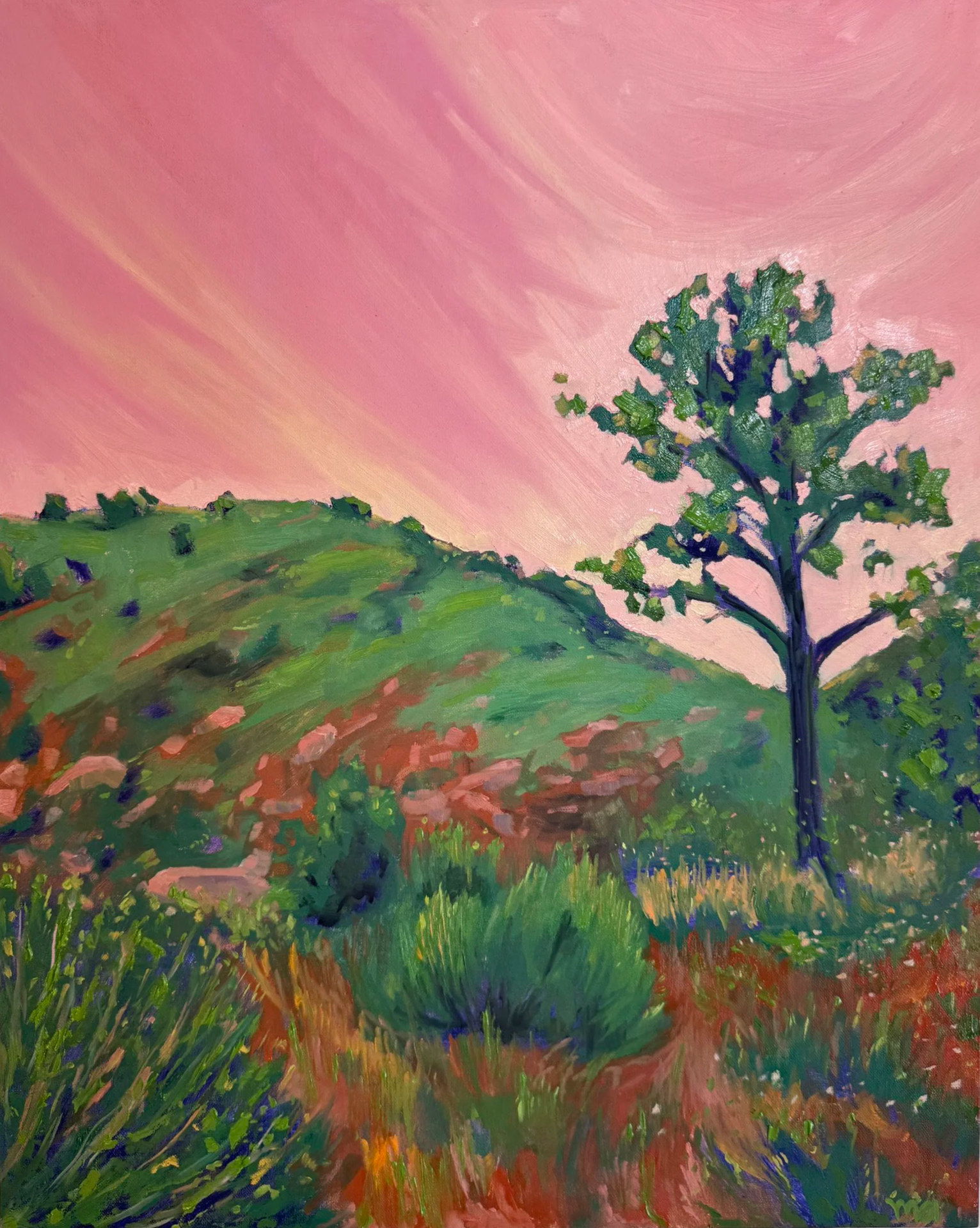 Adventure in the Valley, 2026
Oil on Canvas Panel, 16x20
$1280