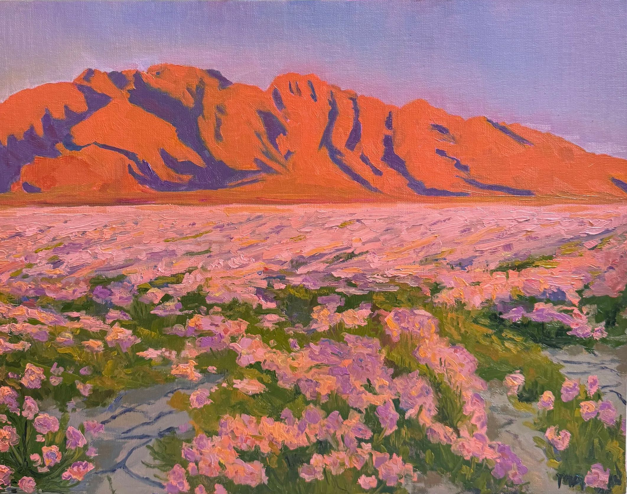 Alive in Death Valley, 2026
Oil on Canvas Panel, 11x14
$616