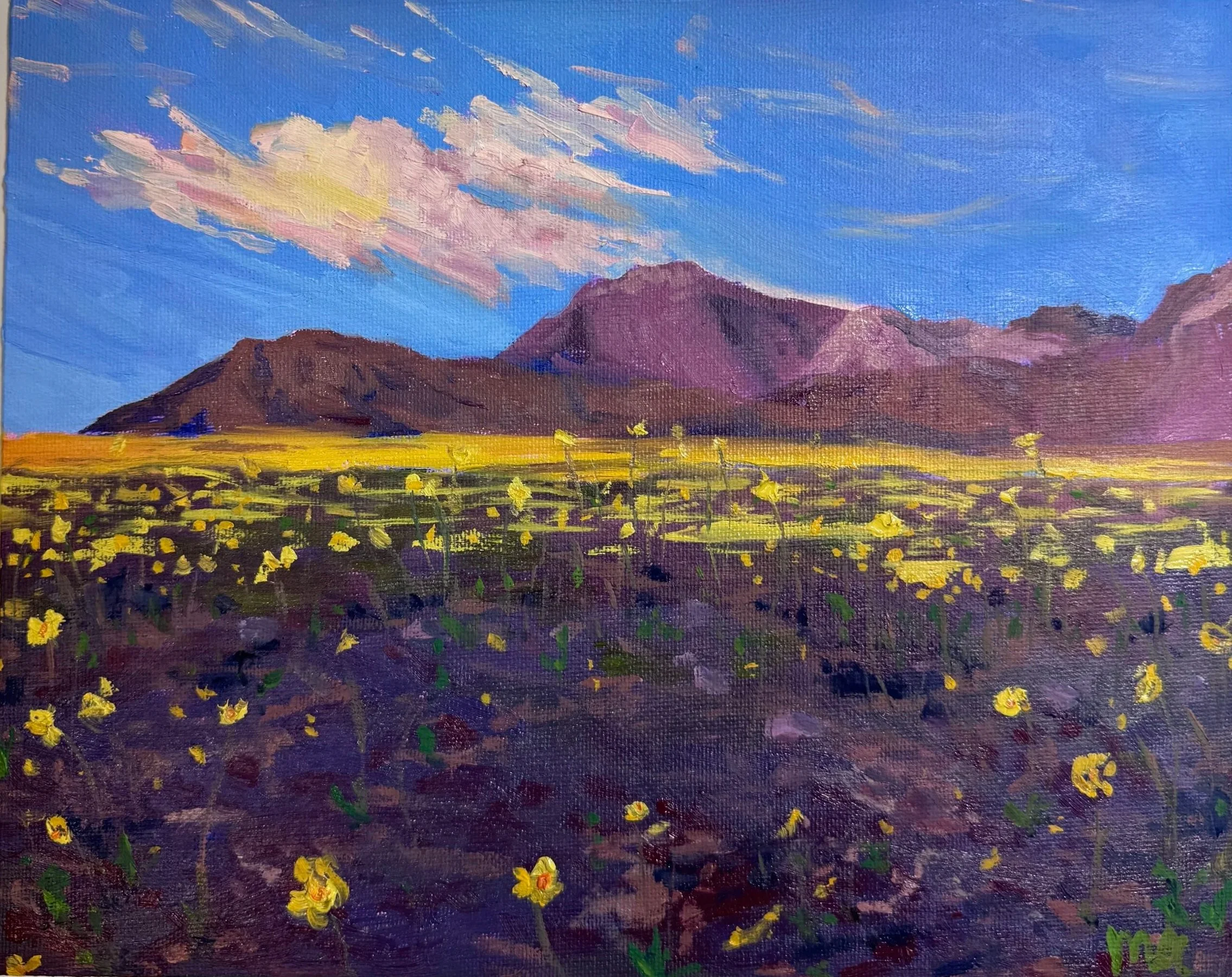 Death Valley Awakening, 2026
Oil on Canvas Panel, 8x10
$320
