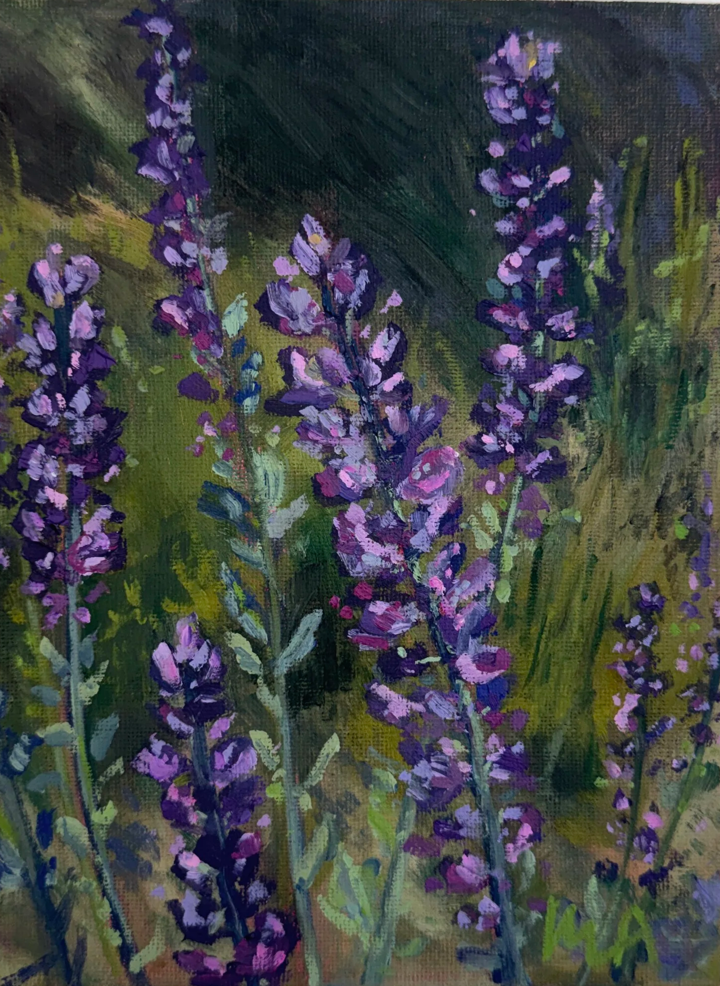 Grape Soda Lupine, 2026
Oil on Canvas Panel, 6x8
$144