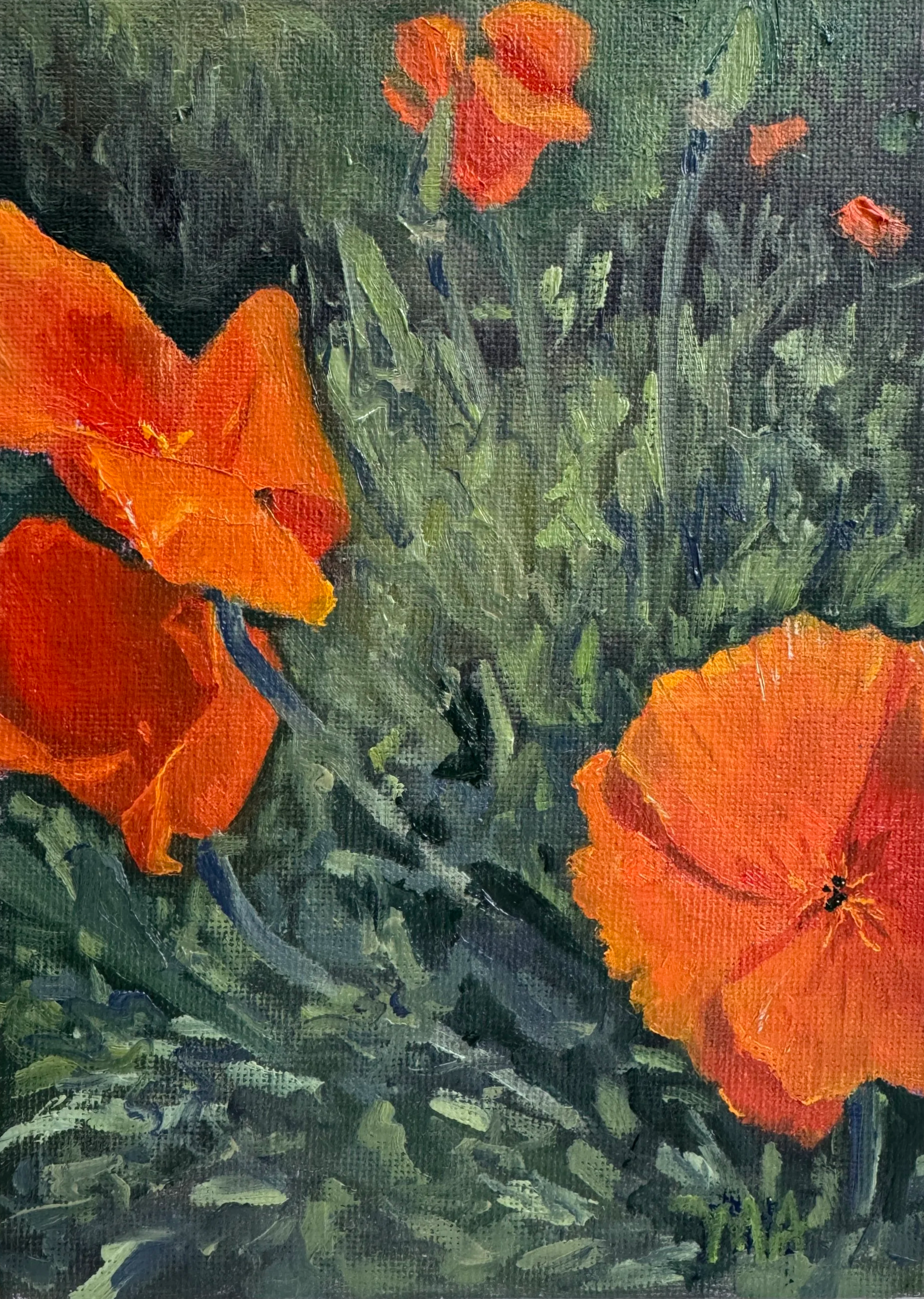 Poppies in Focus, 2026
Oil on Canvas Panel, 5x7
$140