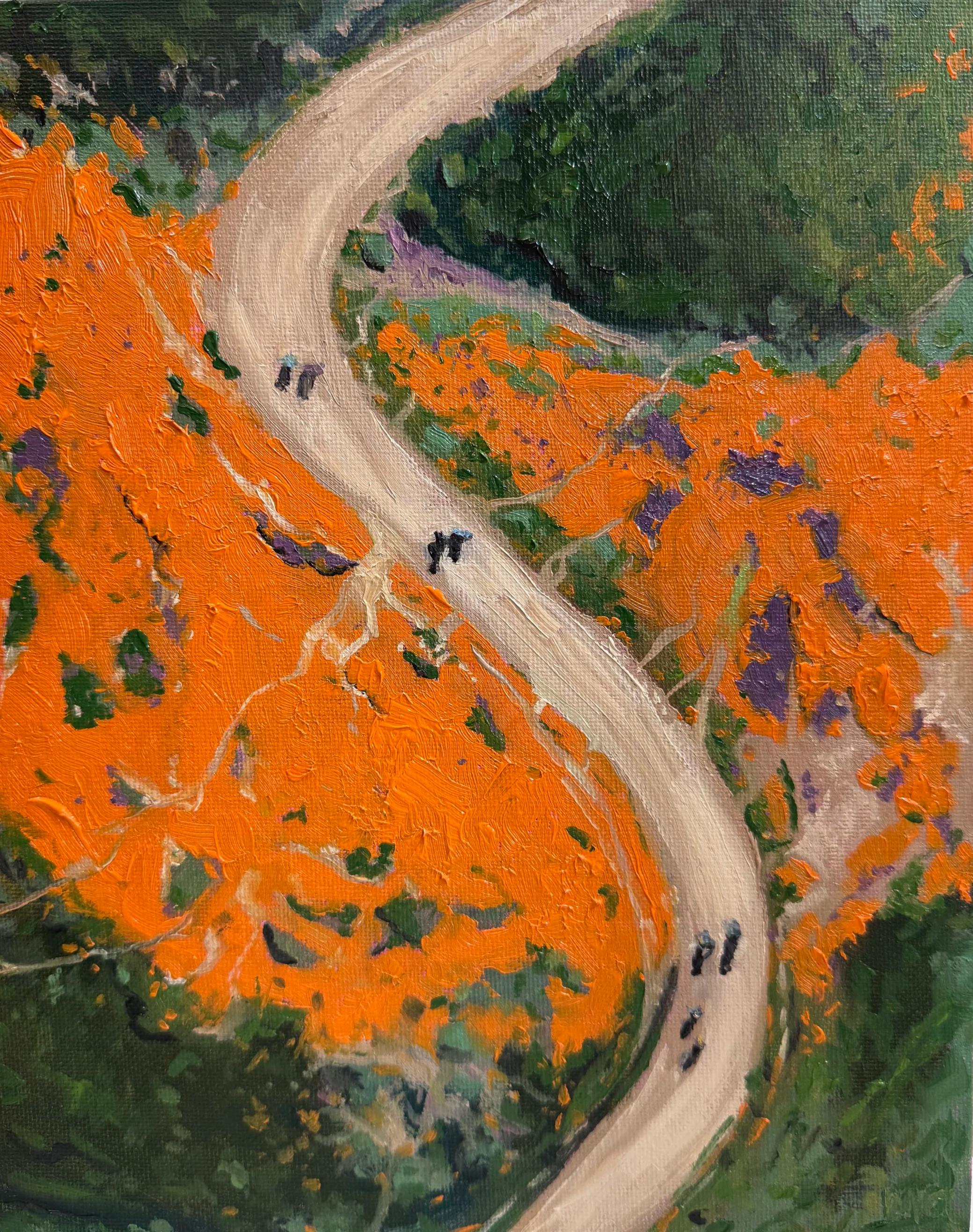 Poppies Overhead, 2026
Oil on Canvas Panel, 8x10
$320