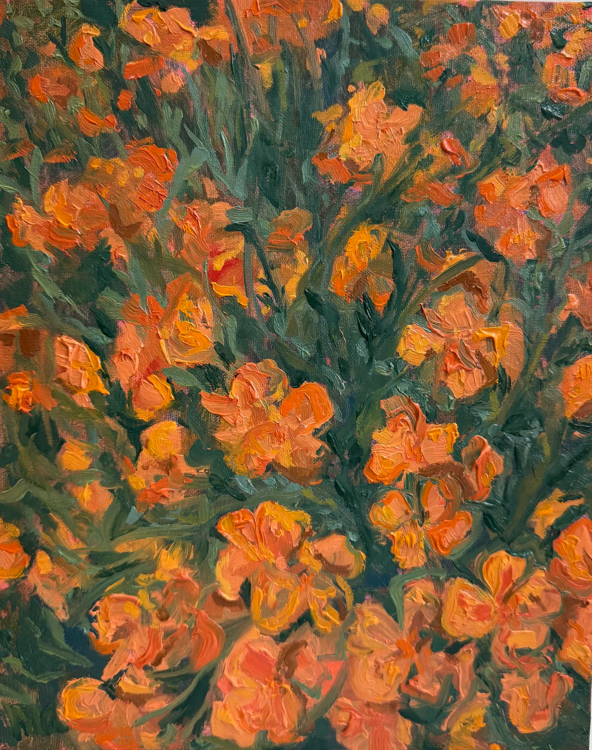 Poppy Madness, 2026
Oil on Canvas Panel, 8x10
$240