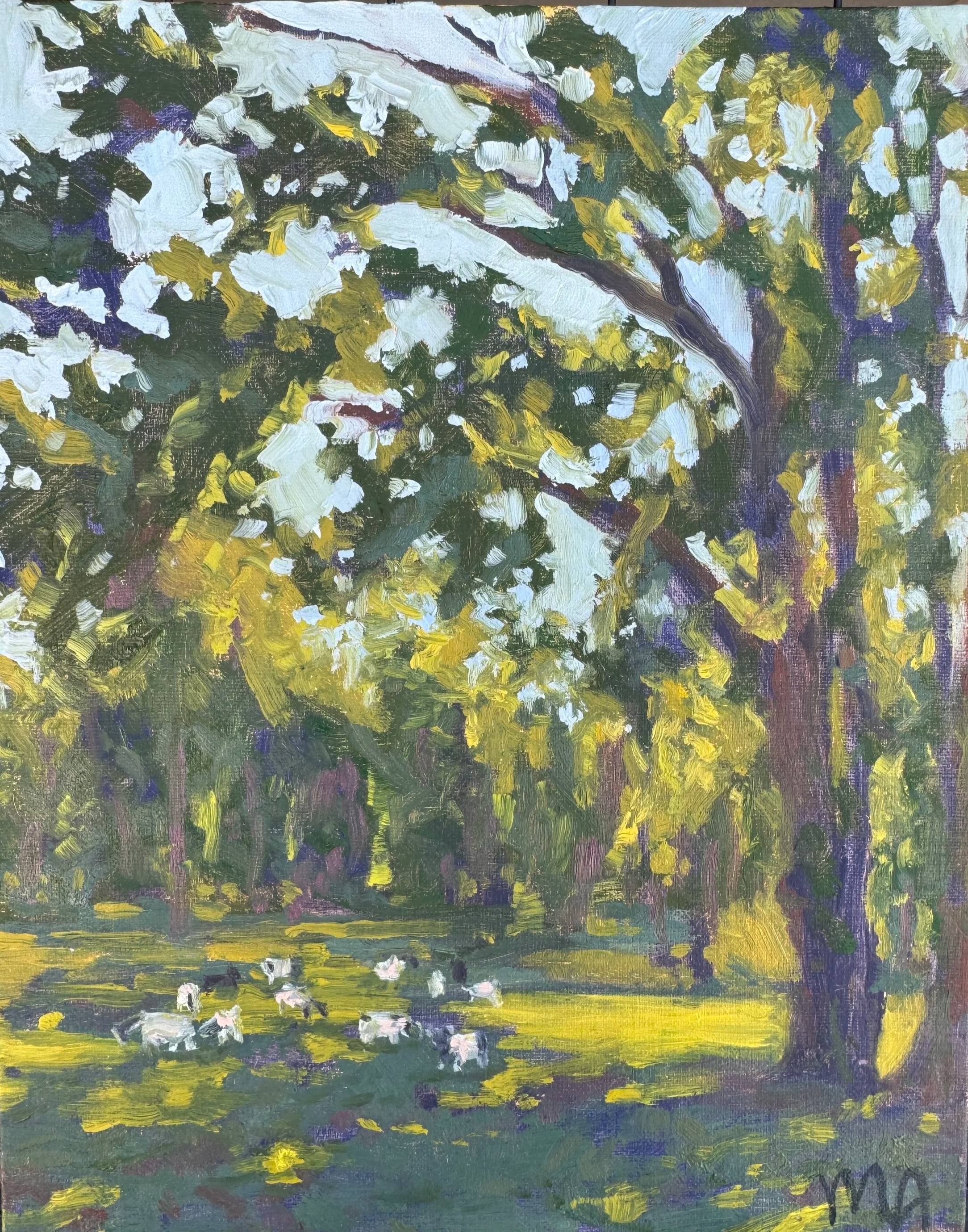 Montgomery Goats, 2025, oil on panel, 8x10 | Greg’s dad, David, came down to the area to visit with us and stayed on Jackson Lake Island–which was the filming location for the 2003 big screen hit Big Fish (still haven’t seen it!). In addition to the 