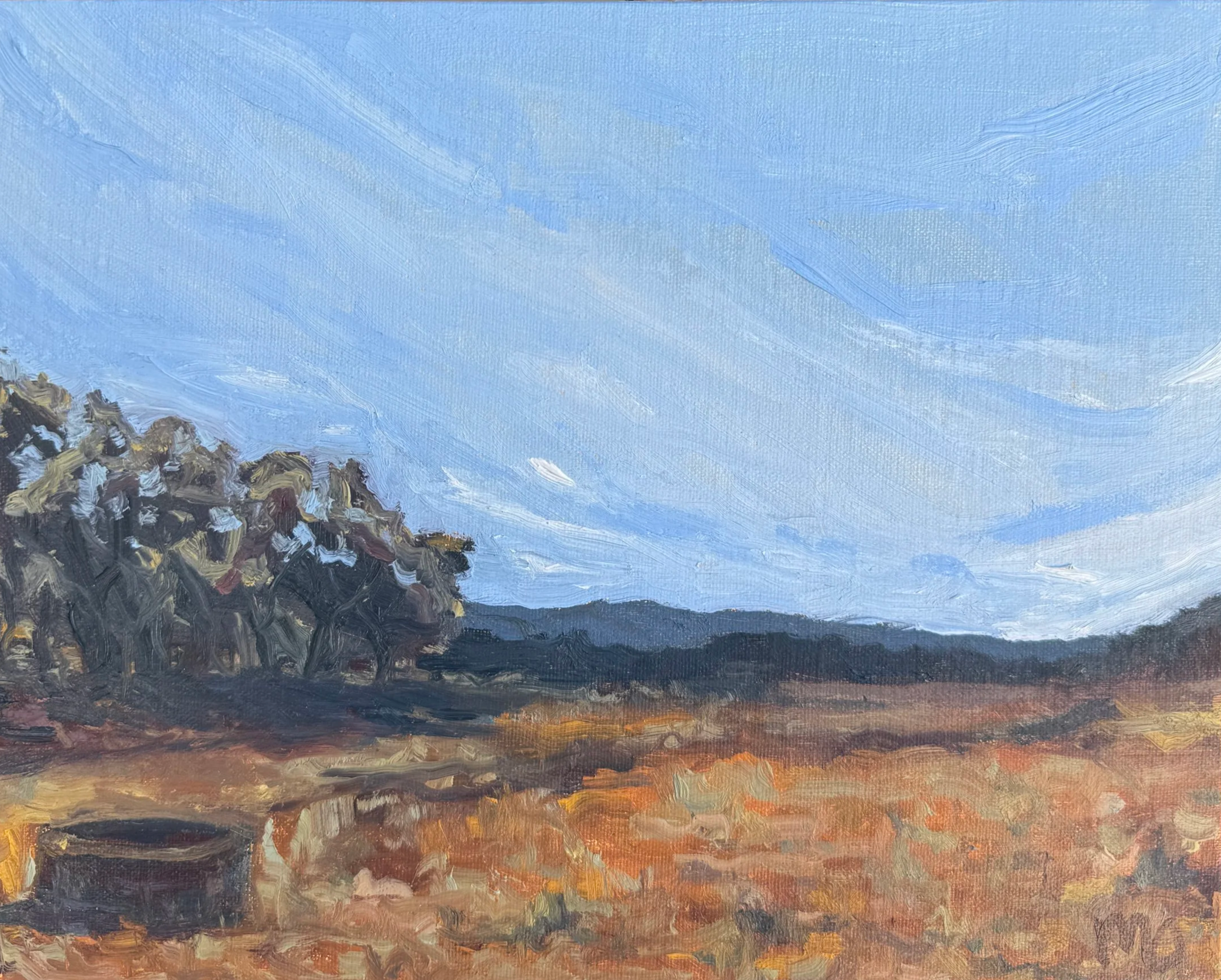 Texas Autumn, 2025, oil on panel, 8x10 | Boy, oh, boy we made it to Texas. Petri and I stayed out in the middle of nowhere in Boerne, Texas, on a ranch that was unbelievably peaceful. Petri spent the afternoons napping on the screened-in porch while 
