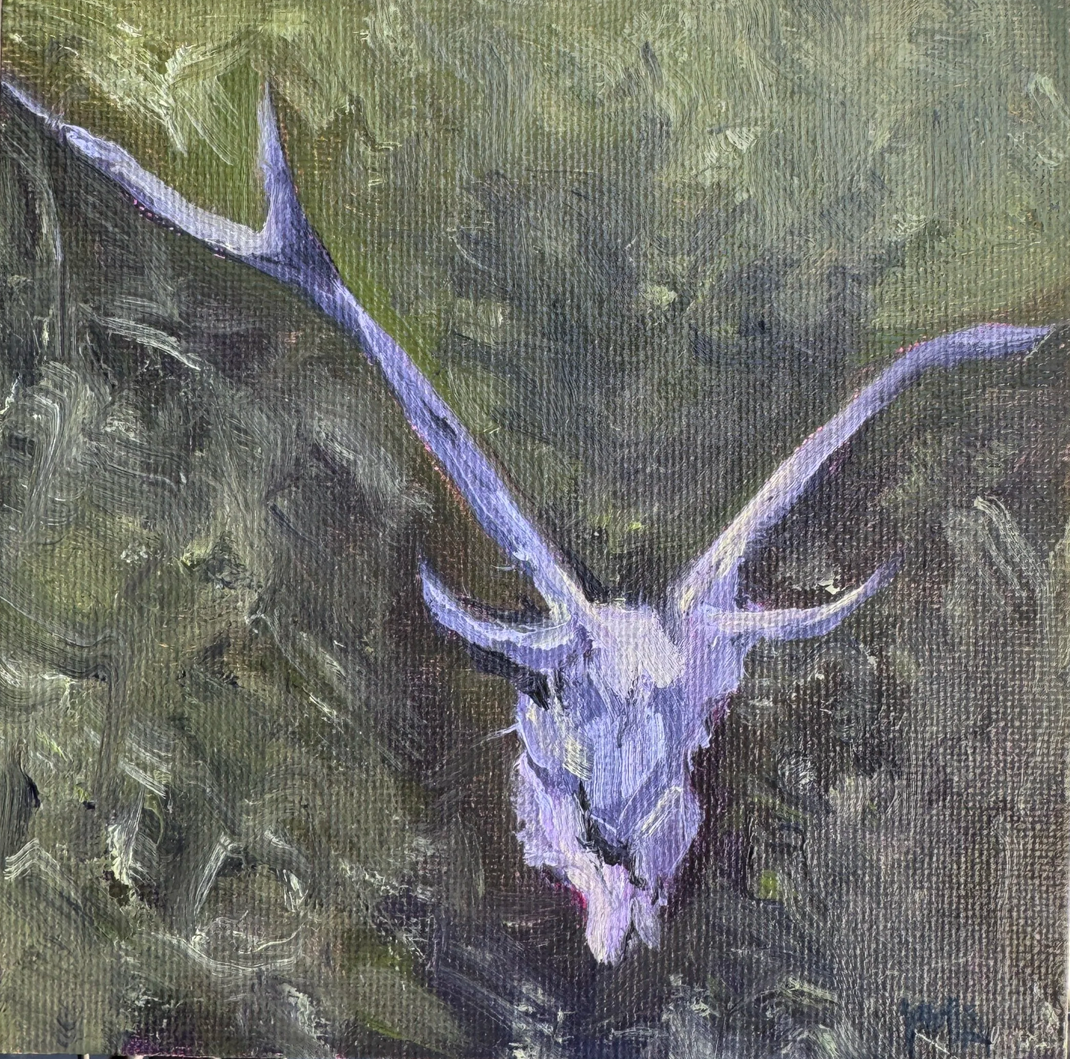 Old Bones, New Soul, 2025, oil on panel, 5x5 | The owner of the ranch, Oso, lived nearby and came over to talk with me a few times. He was quite old and had been living on the land since the 70’s. He told me about the beautiful life he’d grown there 