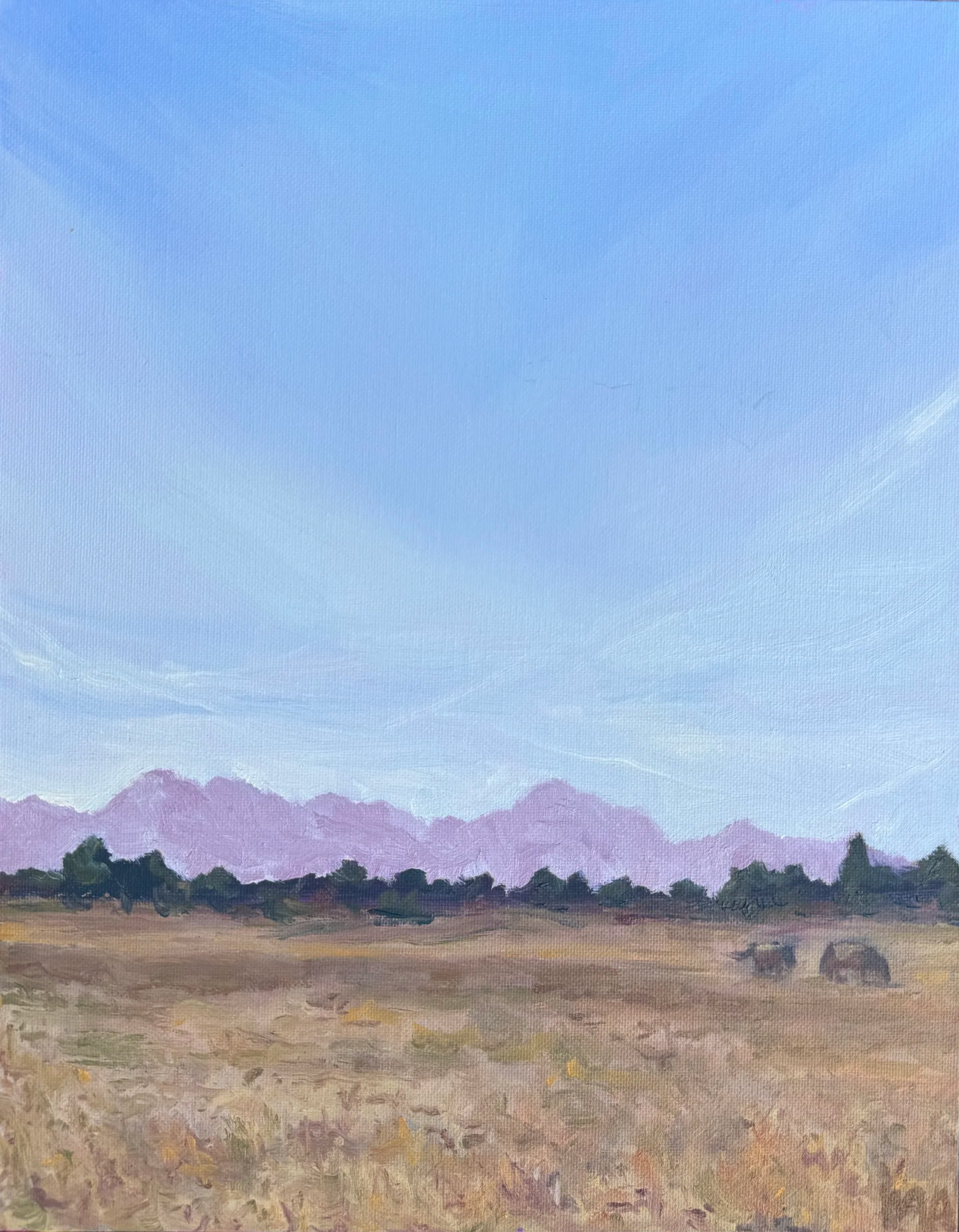 Las Cruces Peace, 2025, oil on panel, 11x14 | Our stay in New Mexico was brief, and marked the start of my slow decline into an illness flare. We stayed in a really cool artist’s loft above an industrial space, and man, was it dusty…and filled with s