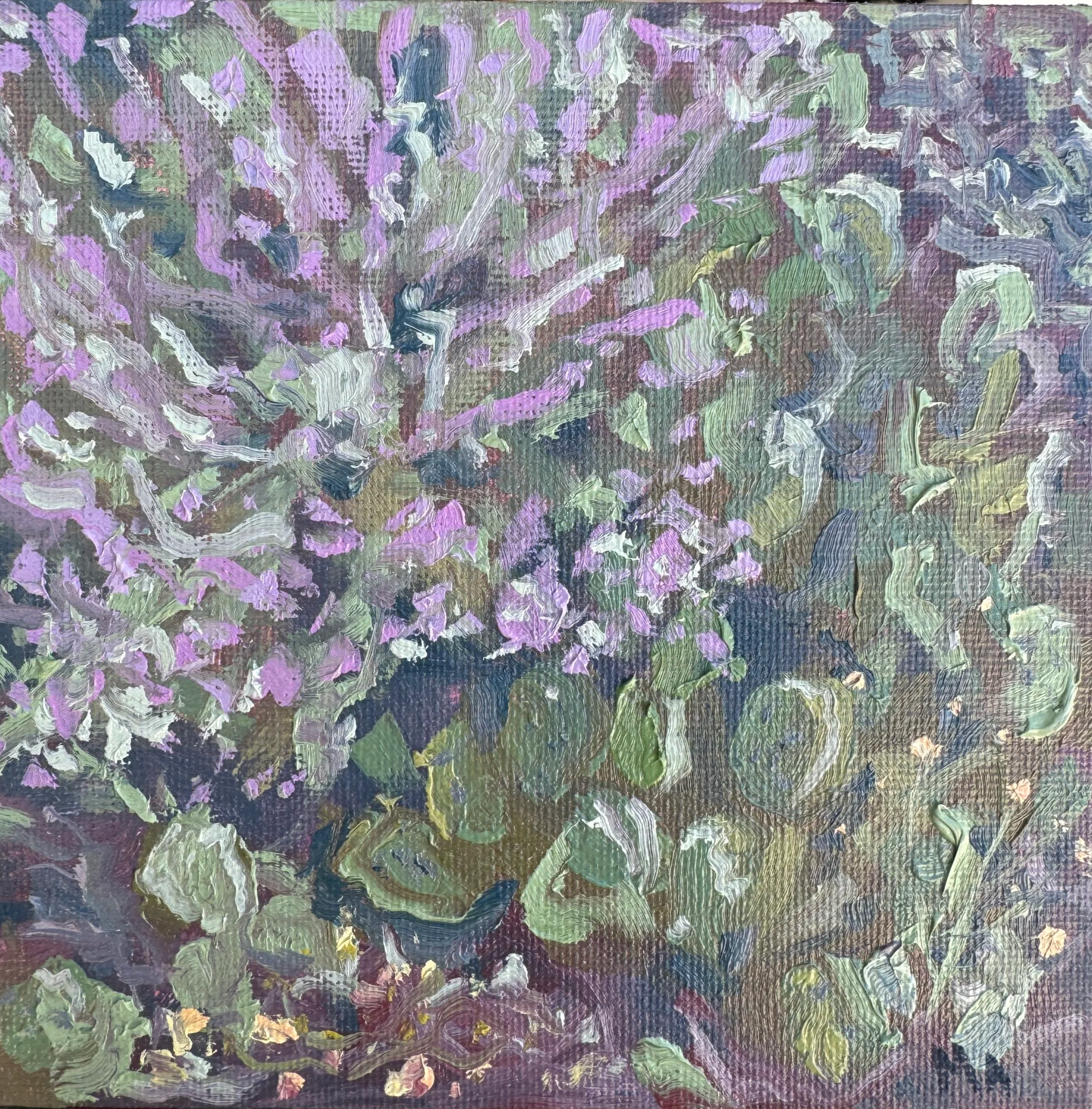 Prickly When Whet, 2025, oil on panel, 5x5 | This little cutie cactus was outside my AirBnB in New Mexico. I’m obsessed with cacti and their ability to thrive in the harshest climates. A cactus is beautiful in so many ways. It has the ability to prot