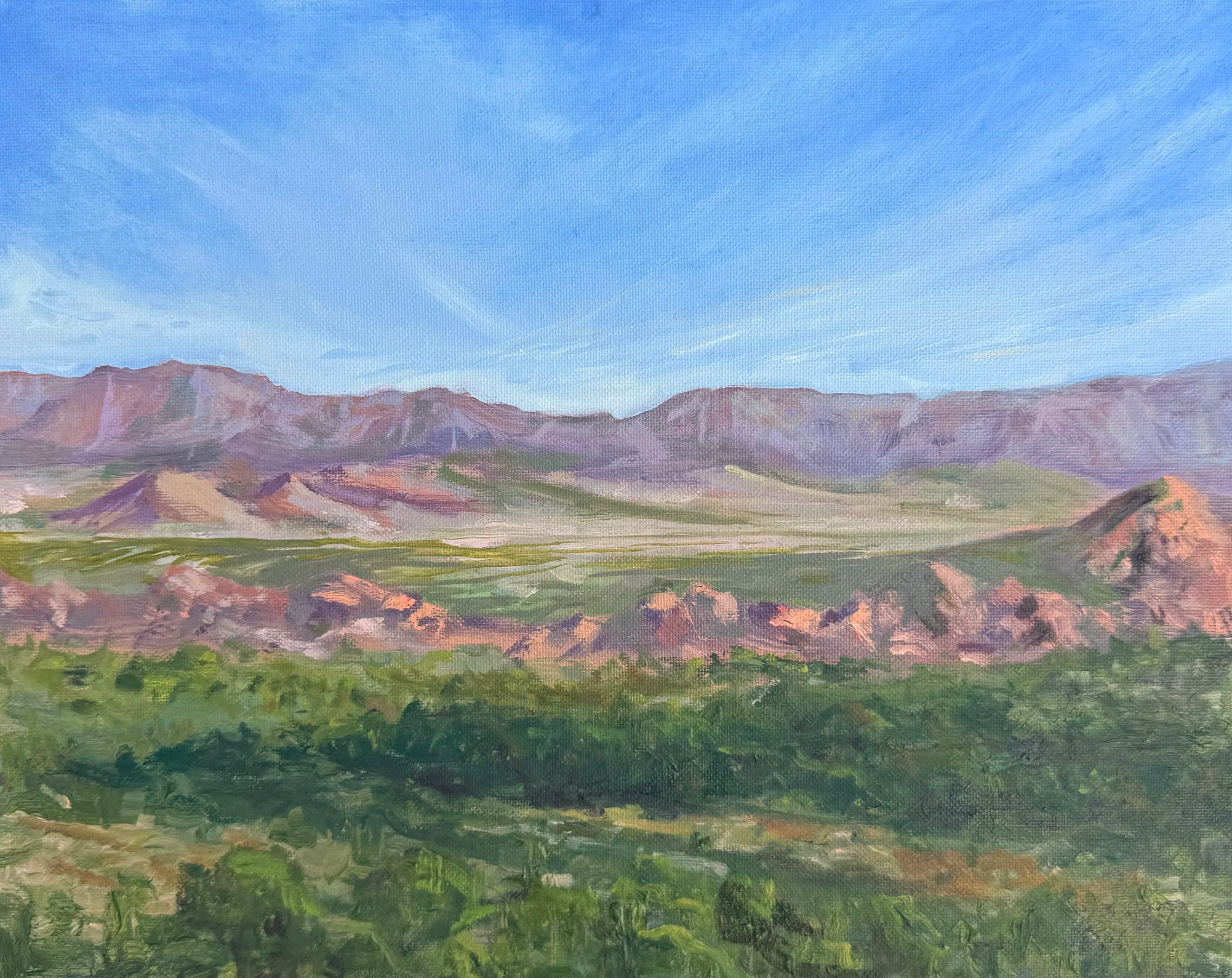 Prescott View, 2026, oil on panel, 11x14 | Petri and I finally made it to my dad and stepmother’s home in Prescott, Arizona. This was quite the respite for Petri–I think he zonked out and slept almost the entire time we were there. I was so relieved 