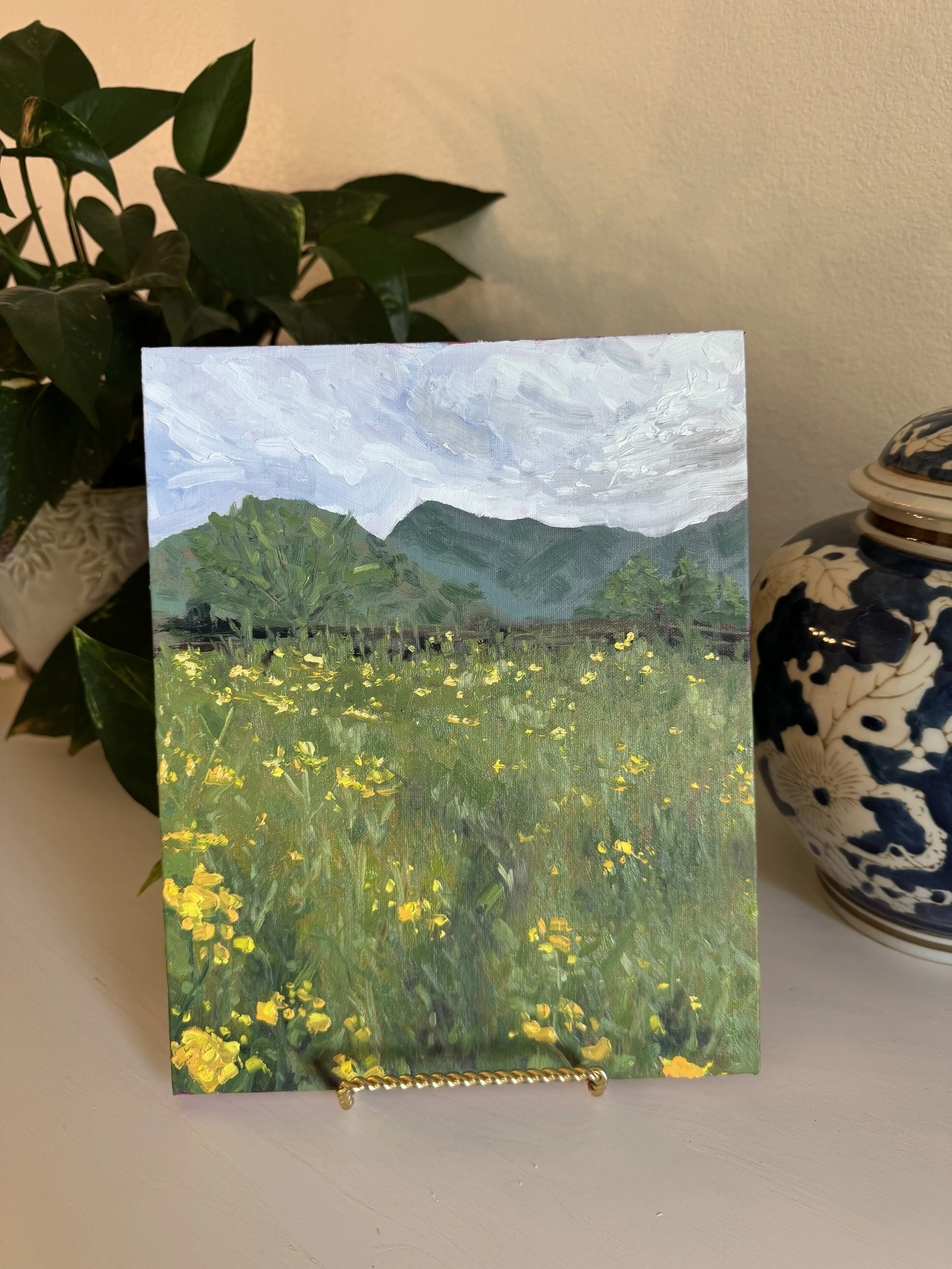Arizona Afternoon, Oil on Panel, 2025, 8x10