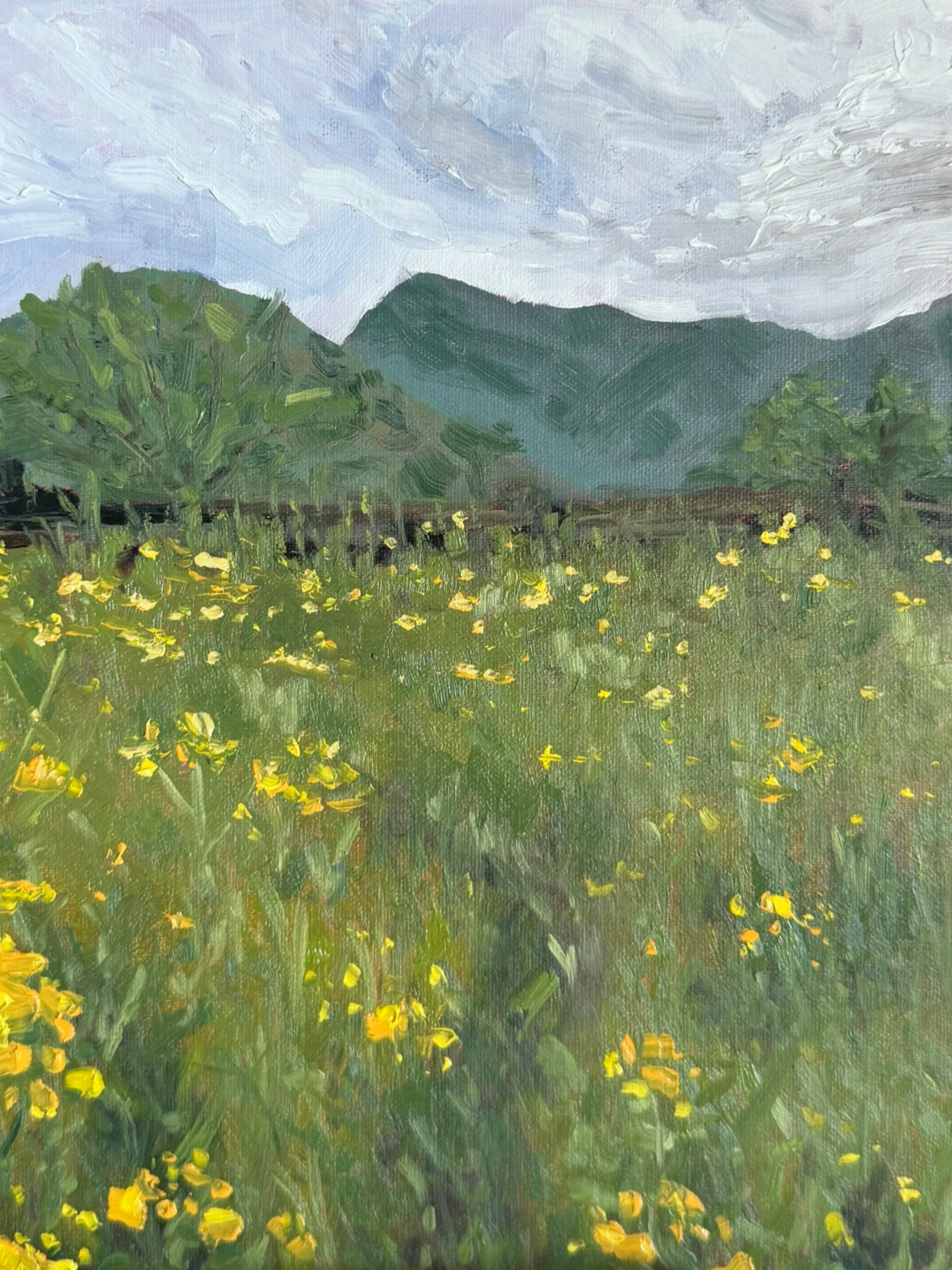 Fields and Flowers