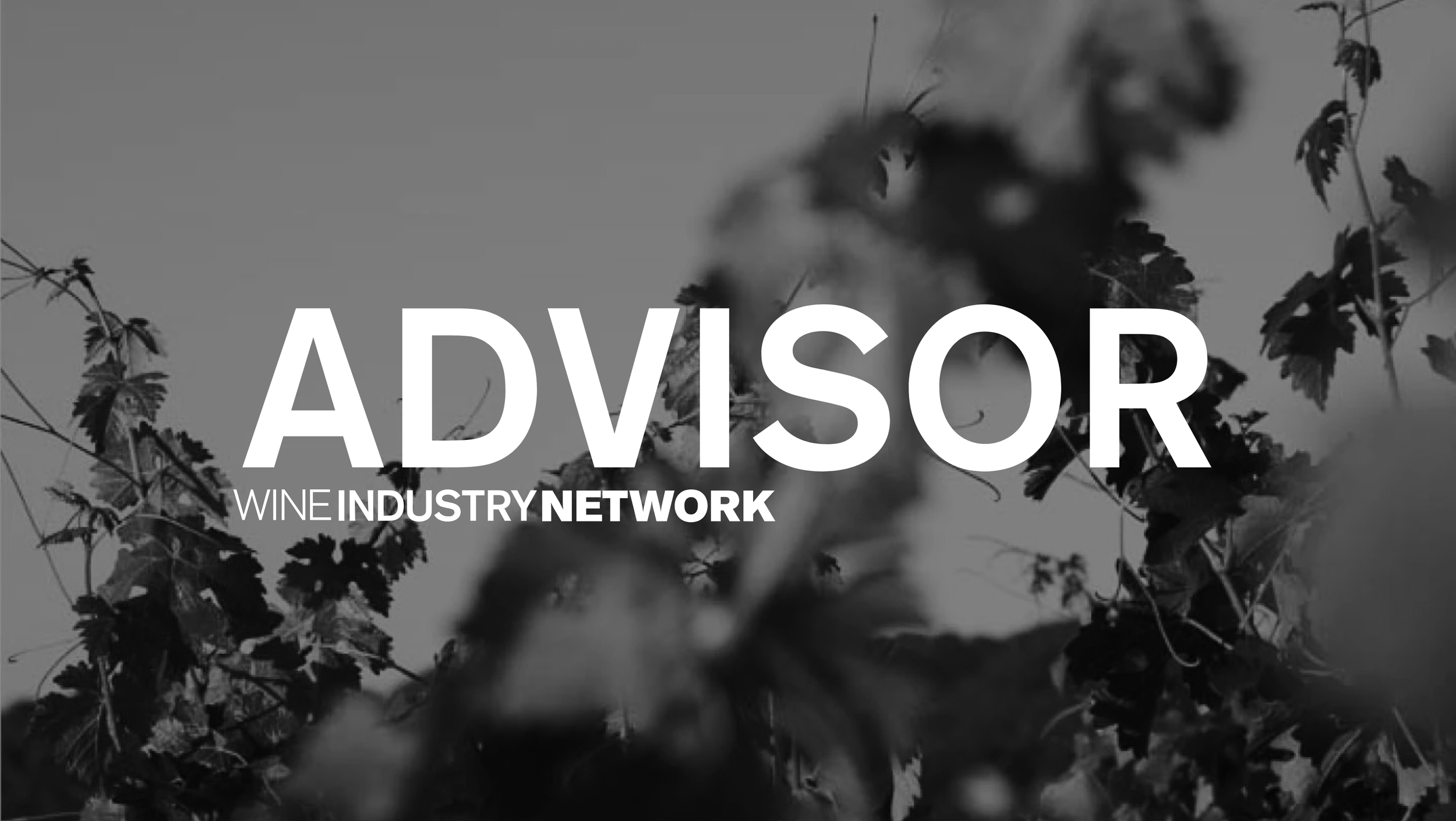 Viticulturist Kevin Wilkinson Unveils Alterra Solutions, Elevating Vineyard Management Across California