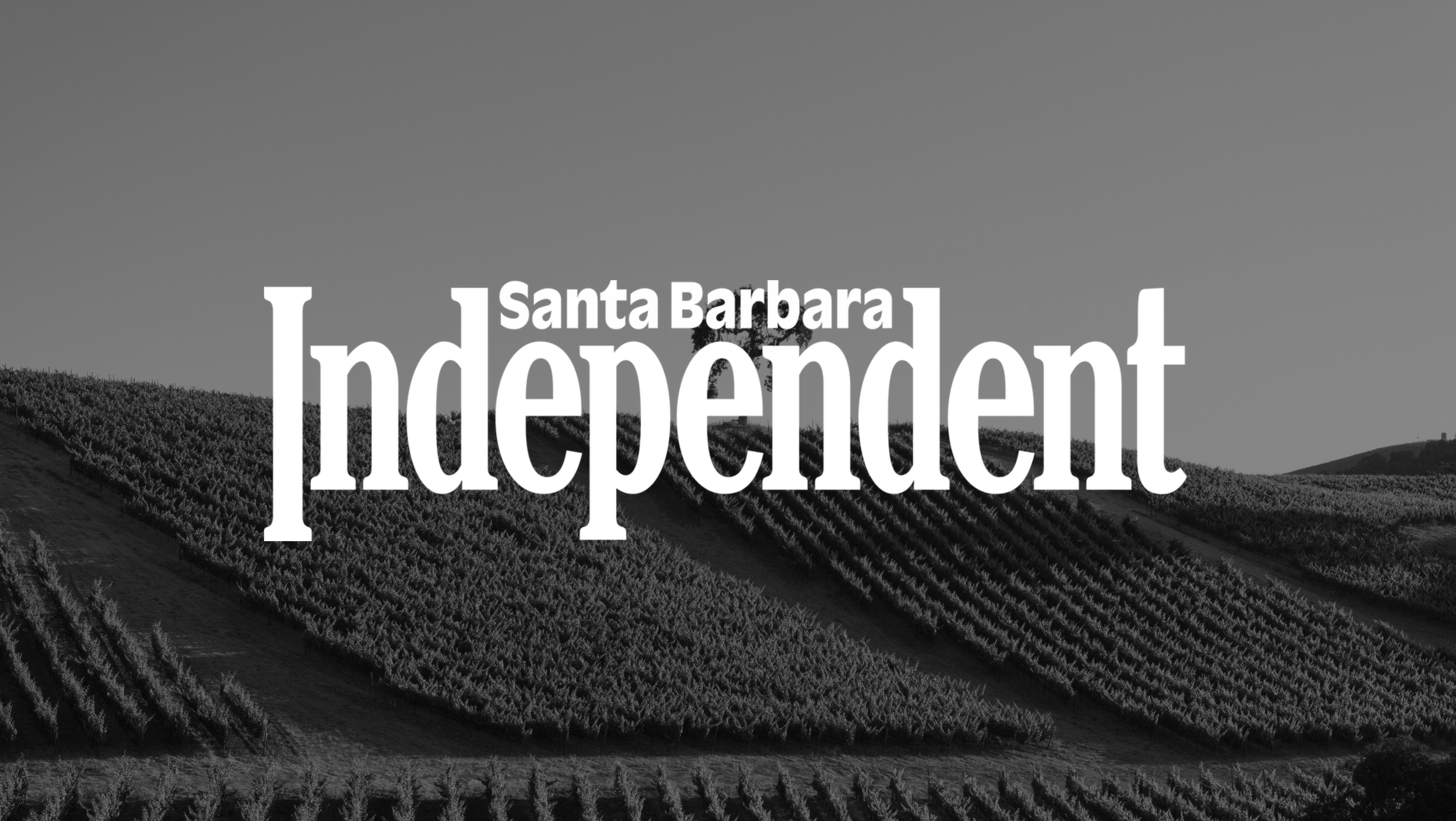 Viticulturist Kevin Wilkinson Unveils Alterra Solutions, Elevating Vineyard Management Across California