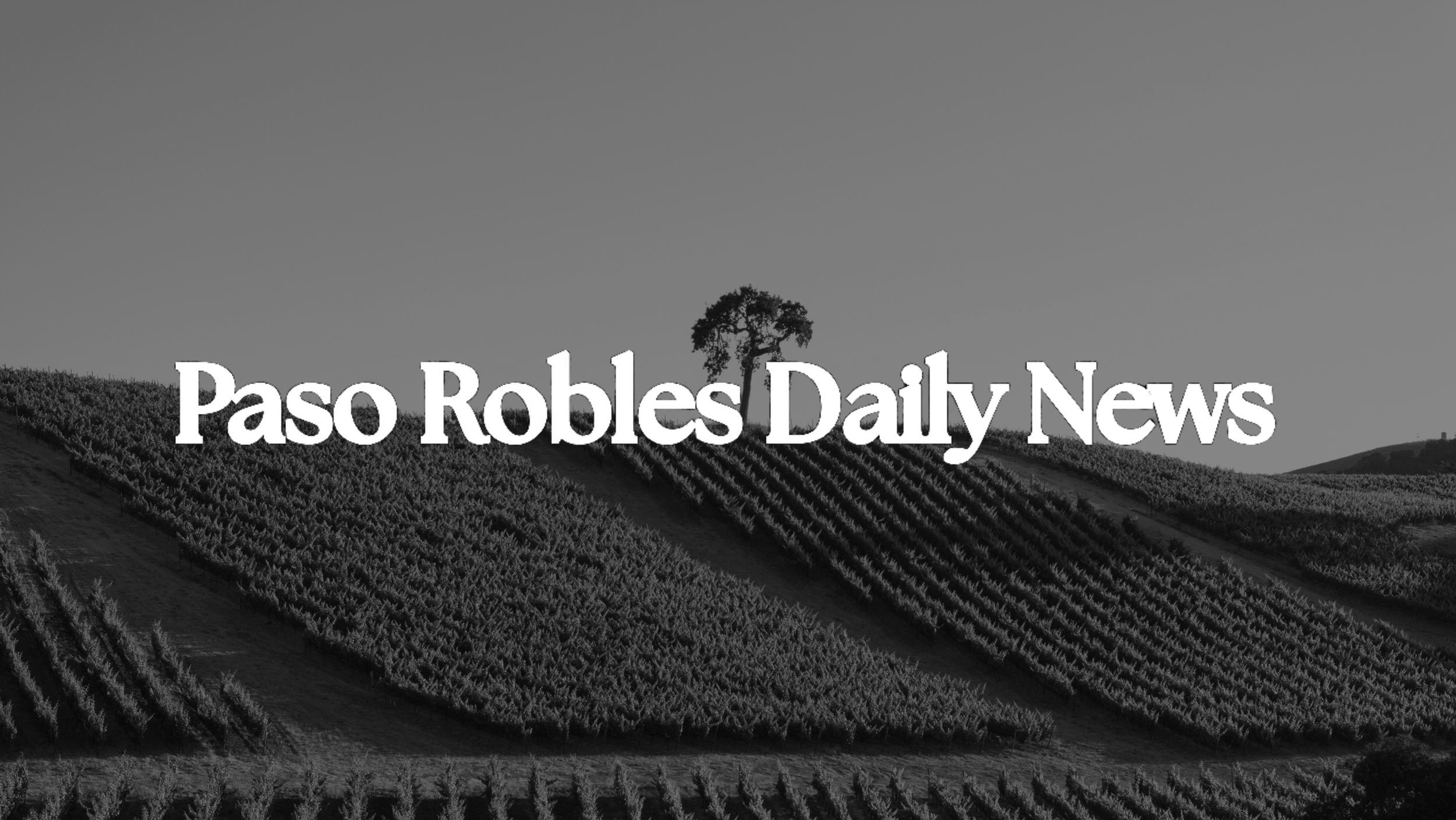 Vineyard management firm rebrands, expands