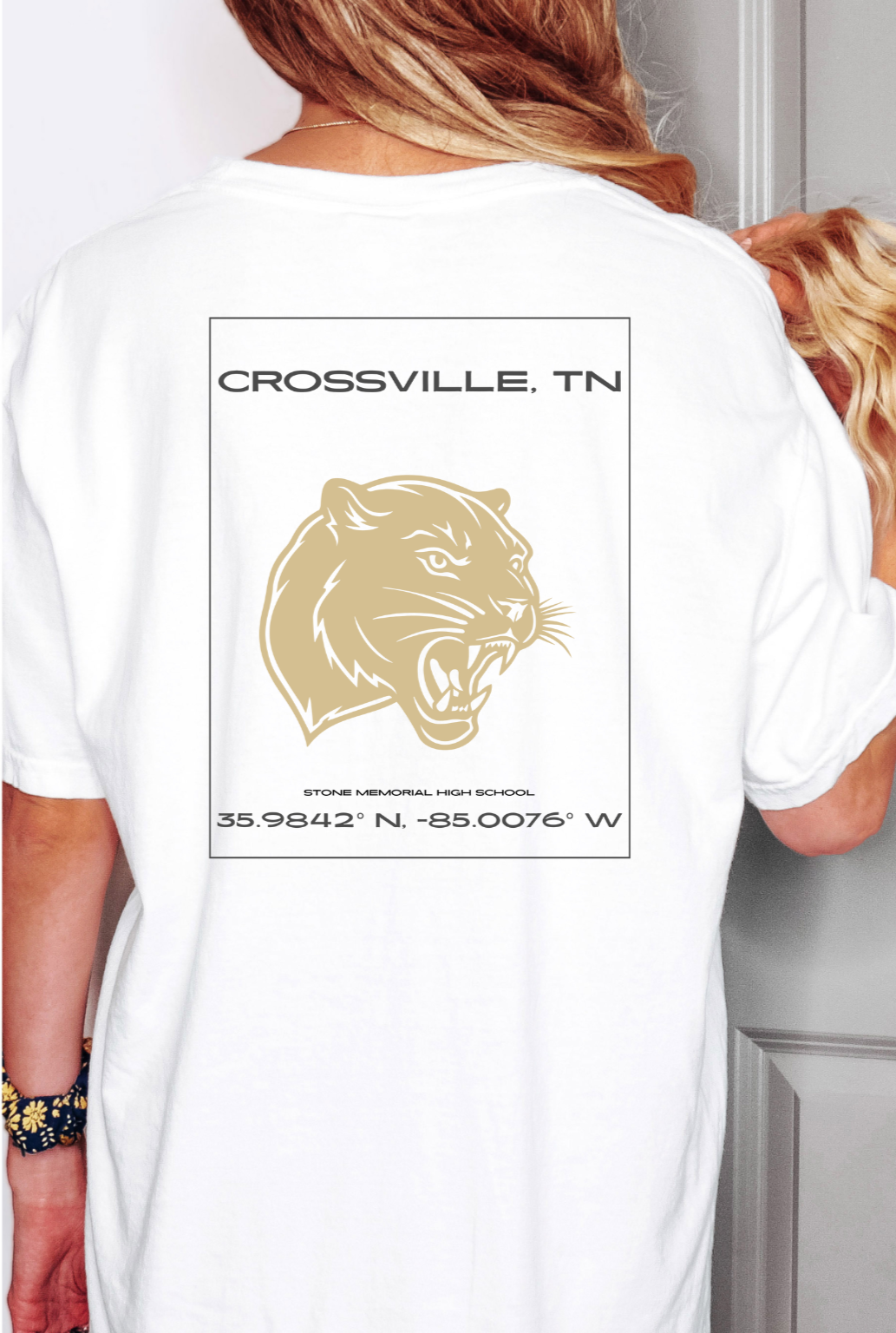 SMHS+Classic.png