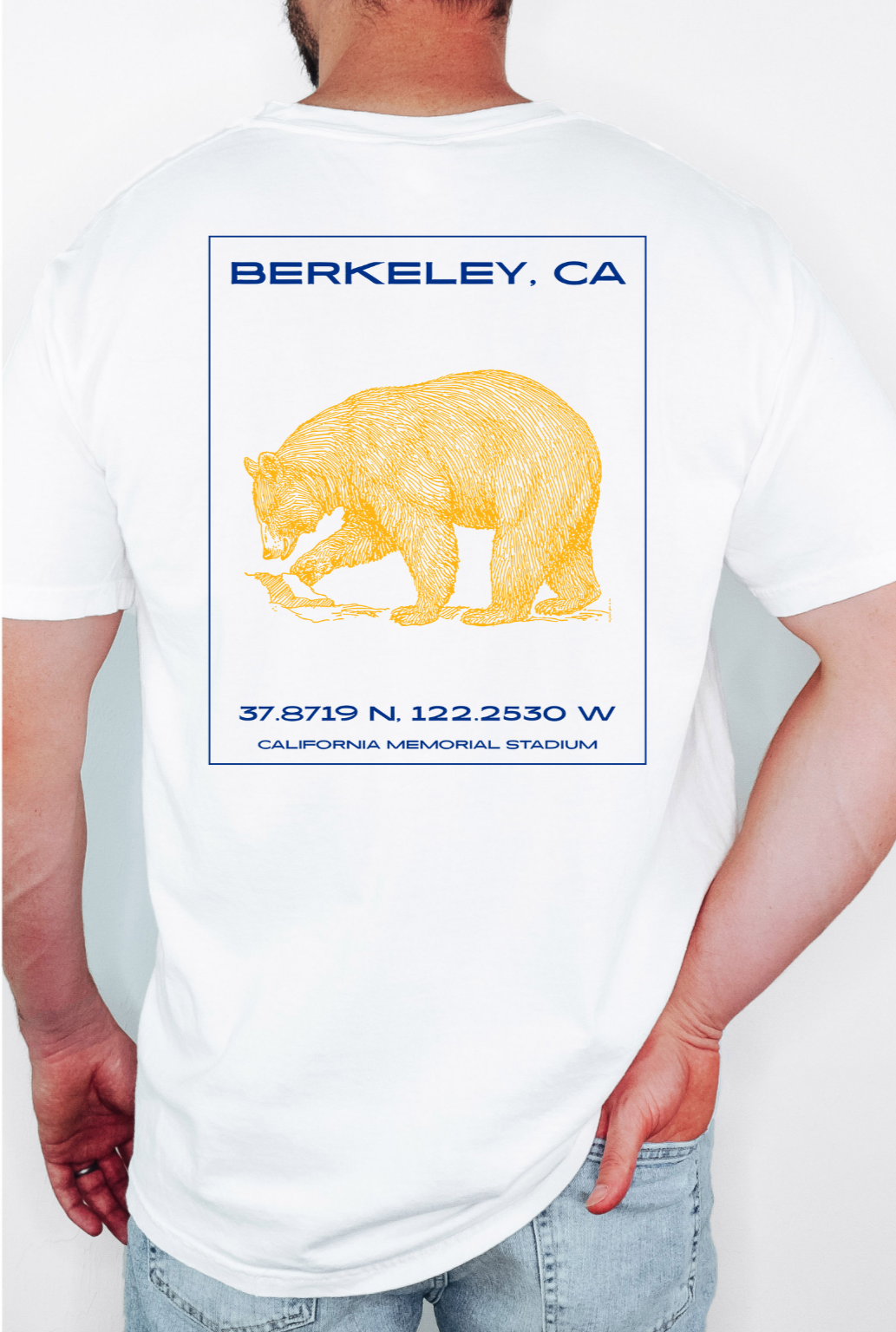 Cal.png