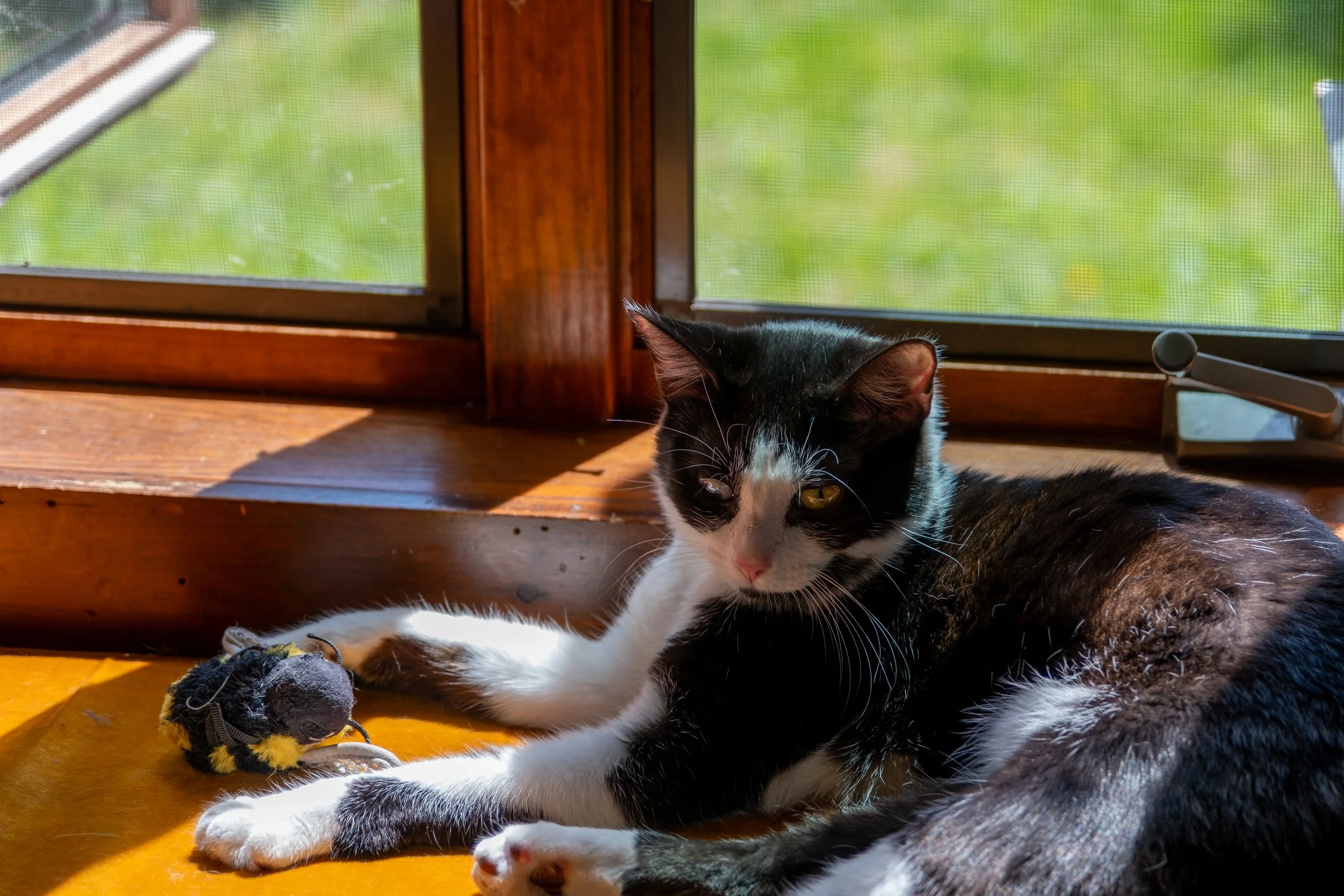 Xander and Nadia JPGs-010.jpg