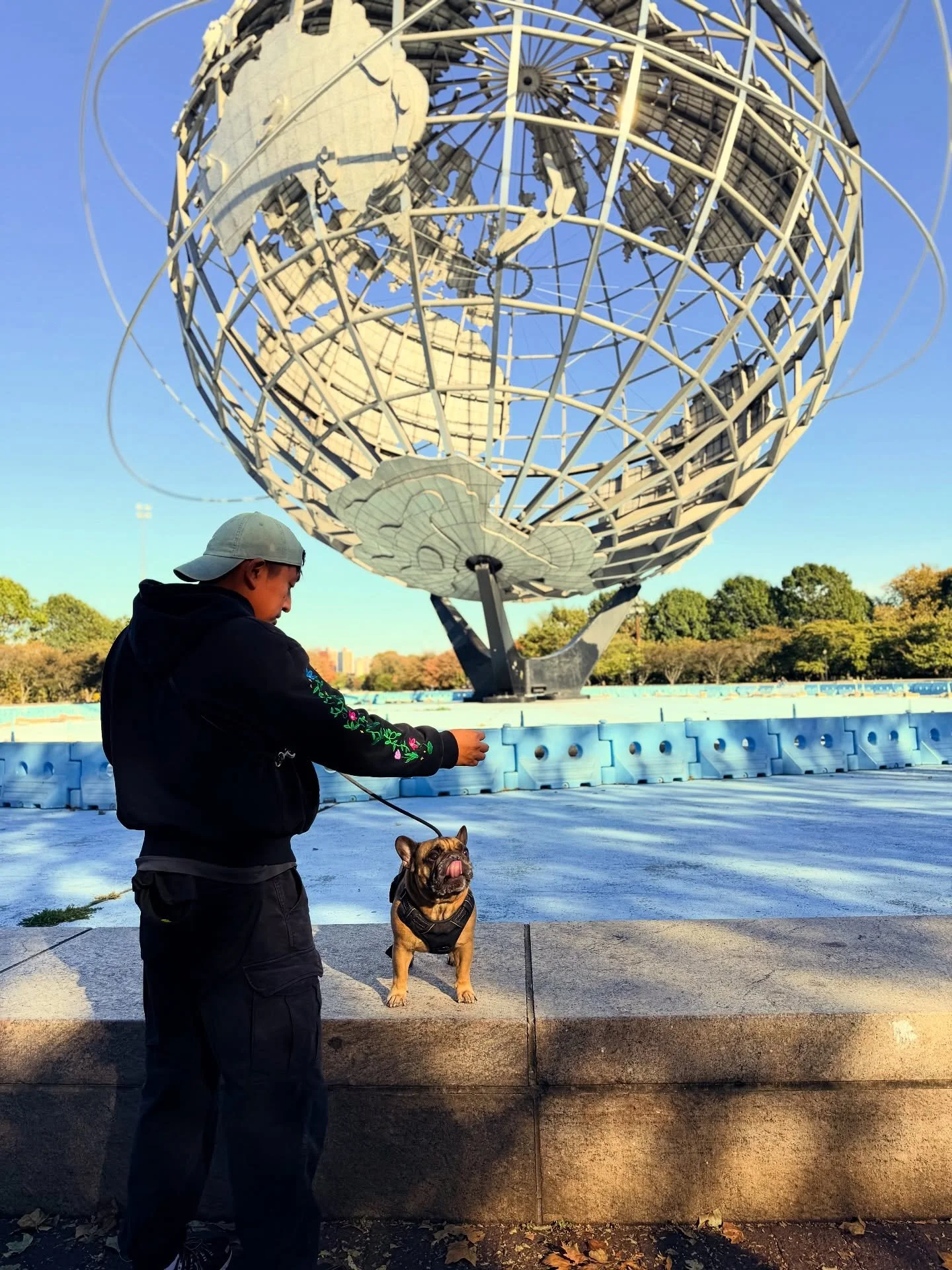 Growth happens when you step out of your comfort zone &mdash; same goes for your dog.

The first step to change is action &mdash; start your dog&rsquo;s journey today.
Book your evaluation at BluntK9.com

#obedience #njdogtraining #njdogtrainer #obed