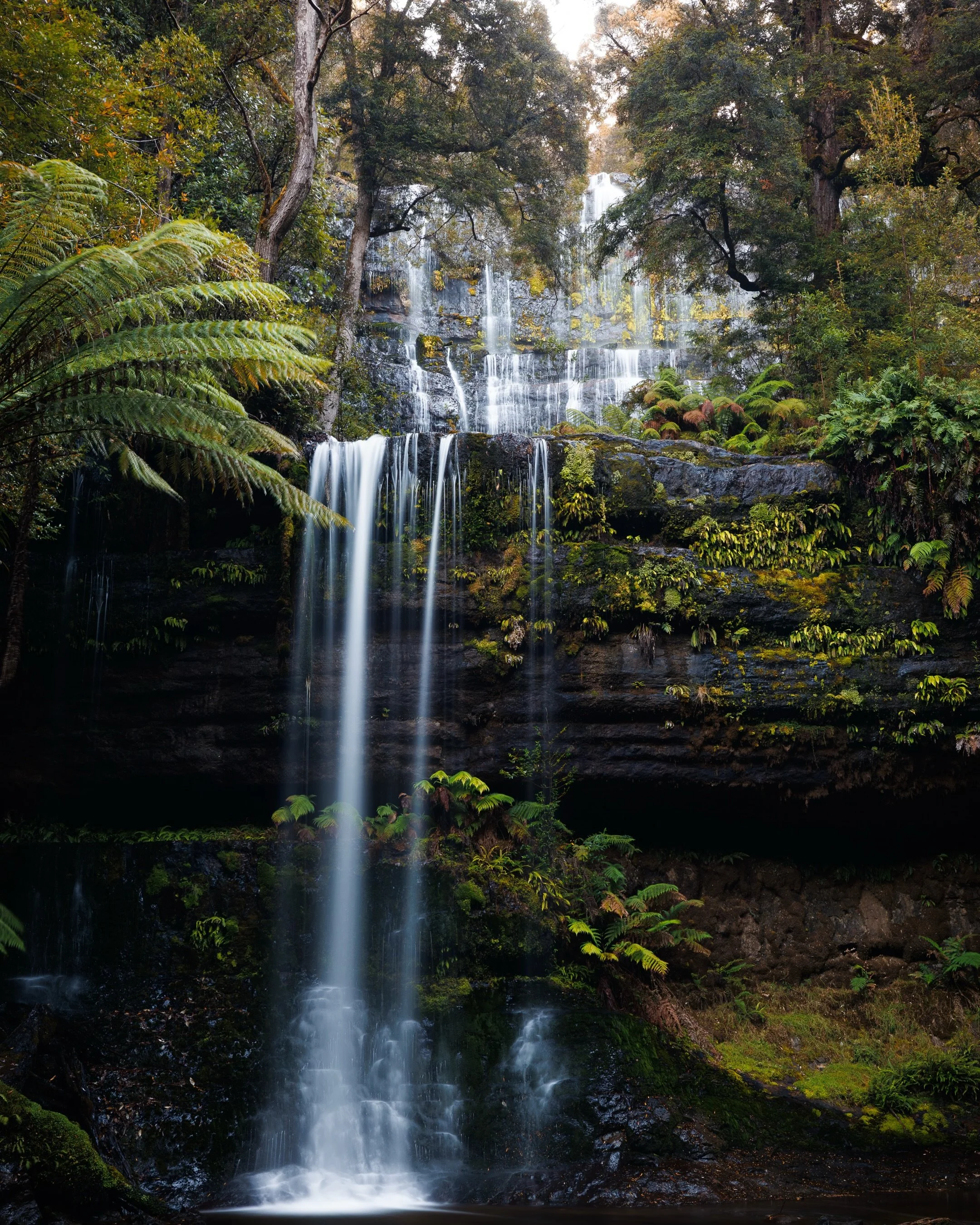 A few nature shots from my recent trip to Tasmania, loved the waterfalls, got to test out a few new ND/CPL filters for the camera too.
Russell falls was a great little spot, featuring two other smaller waterfalls near by on the three falls circuit. #