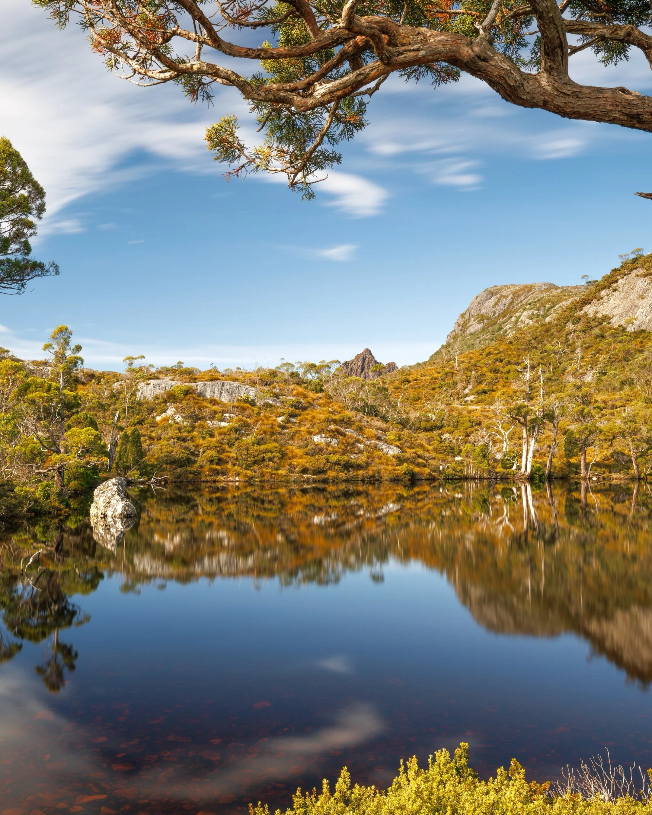 Wombat Pool in the cradle mountain area, if you look closely you can see the very tip of cradle mountain in the distance behind the flora. This little spot was beautiful and recommended to me by @nealpritchardimages 
Wouldn&rsquo;t have been able to 