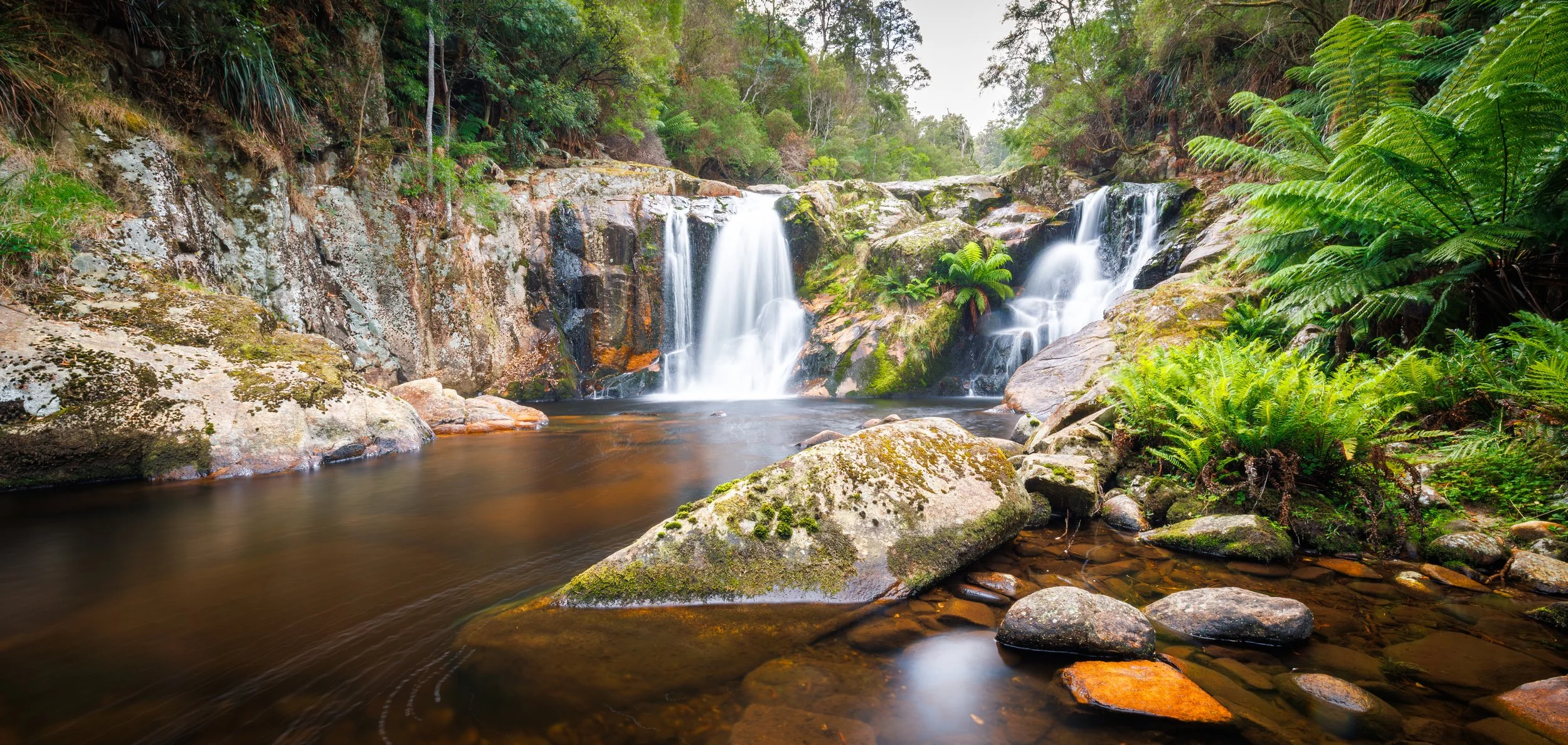 Tasmania Waterfall.jpg