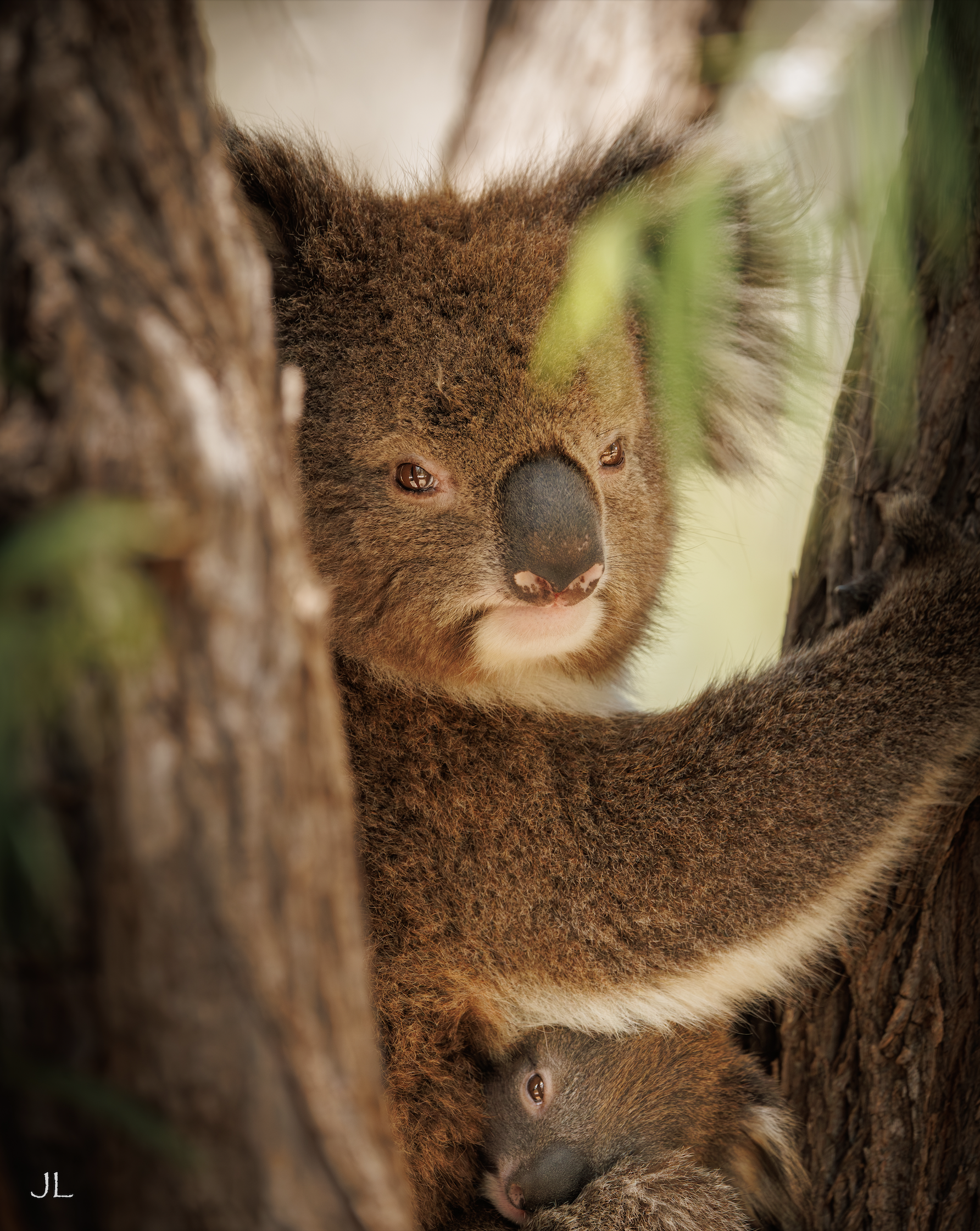 Screenshot 2025-12-10 at 1.32.01 pm.png