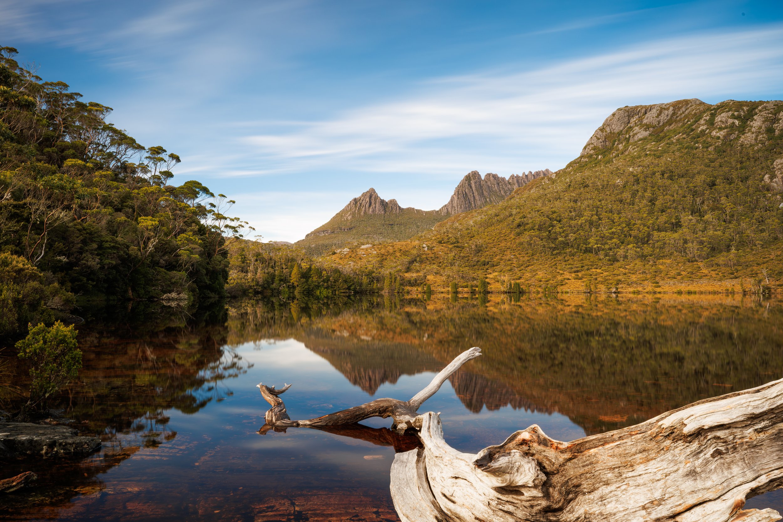1N7A0806.jpg
