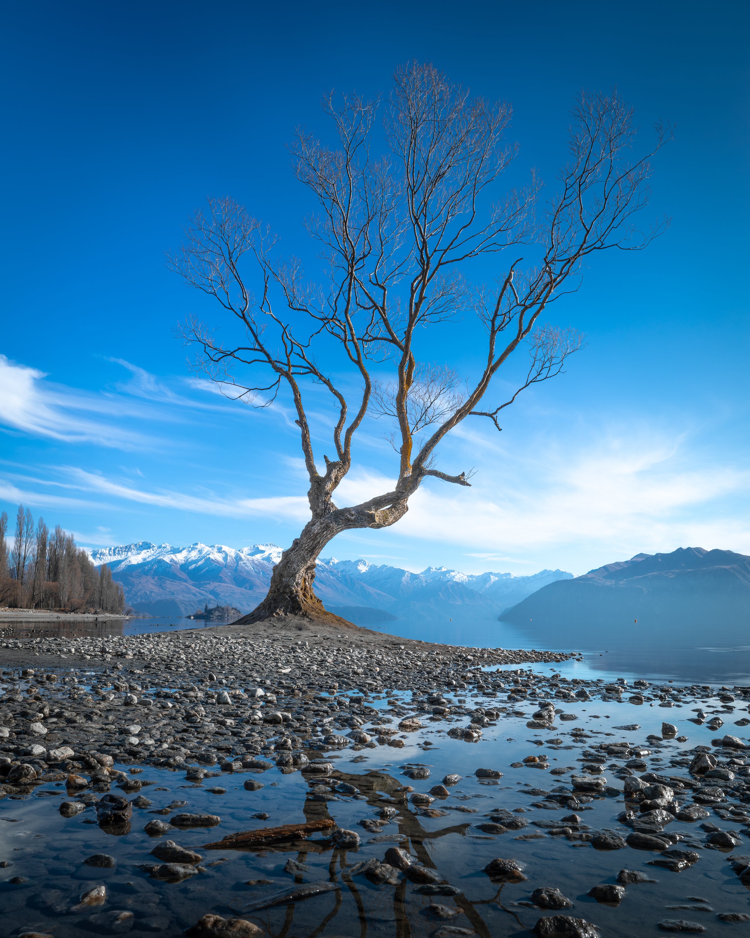Untitled-373.jpg