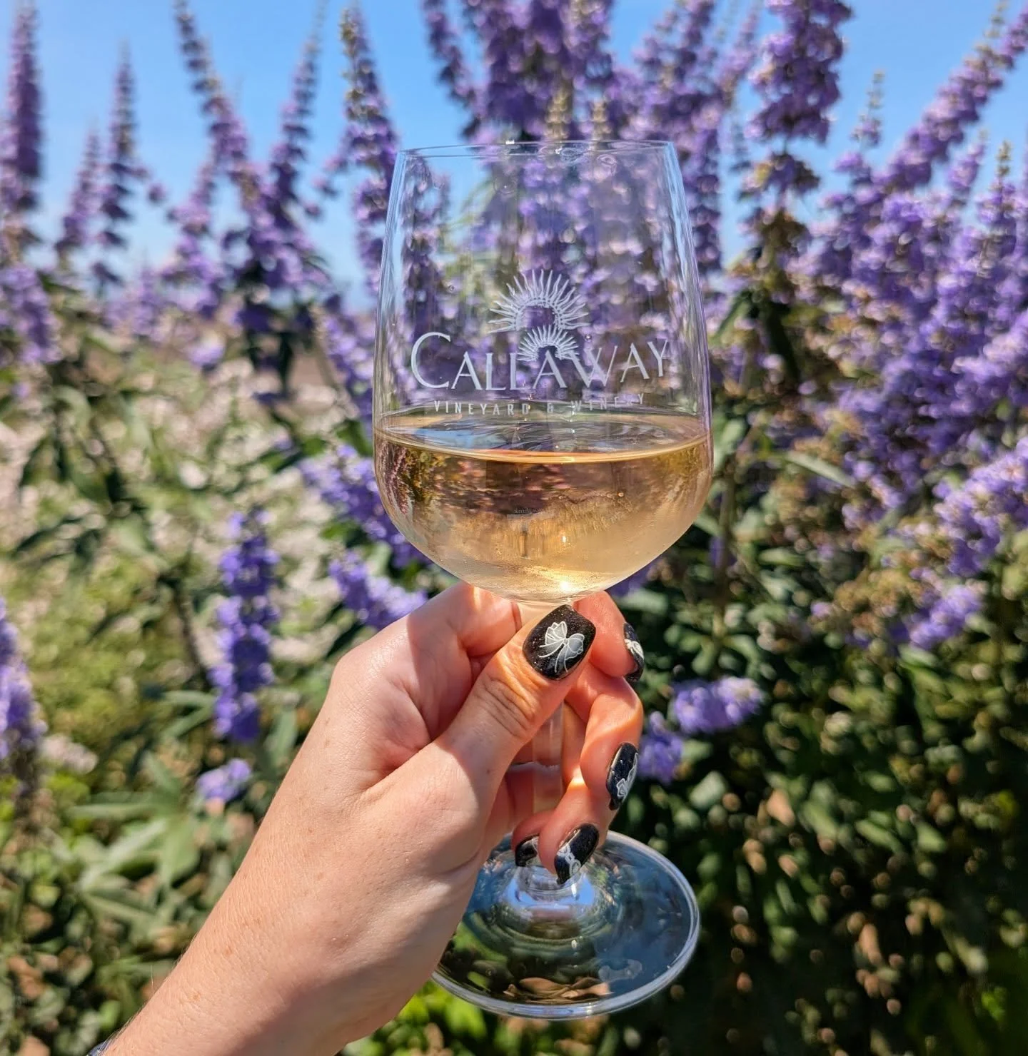 We call this one Viogner because we say &quot;yay!&quot; when we drink it 🥂

pronunciation - vee-on-yay

🍷@callawaywinery 2024 Wild Yeast Viogner 
&bull; notes of nectarine, honeysuckle, and cotton candy grape
&bull; 24 hours of skin contact on whi
