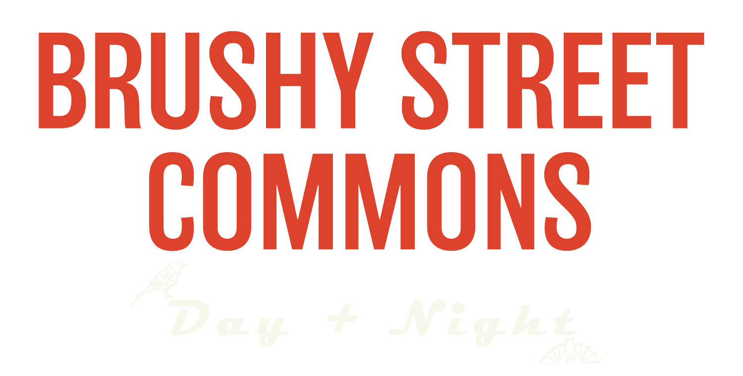 Brushy Street Commons
