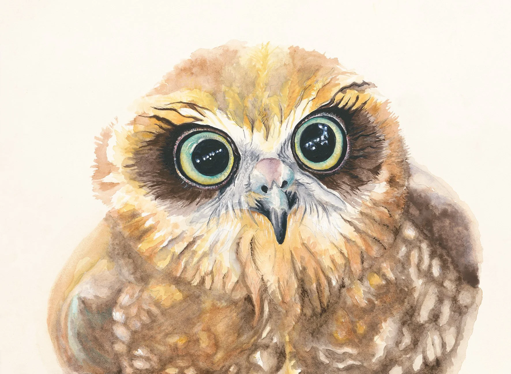 Avalon Sanctuary Art - Sheree Howard_Owl_FF_web.jpg