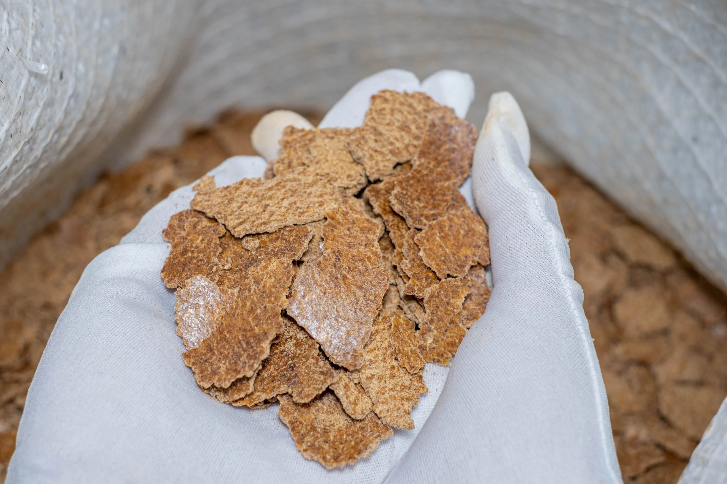 Bánh đậu phộng Vietural