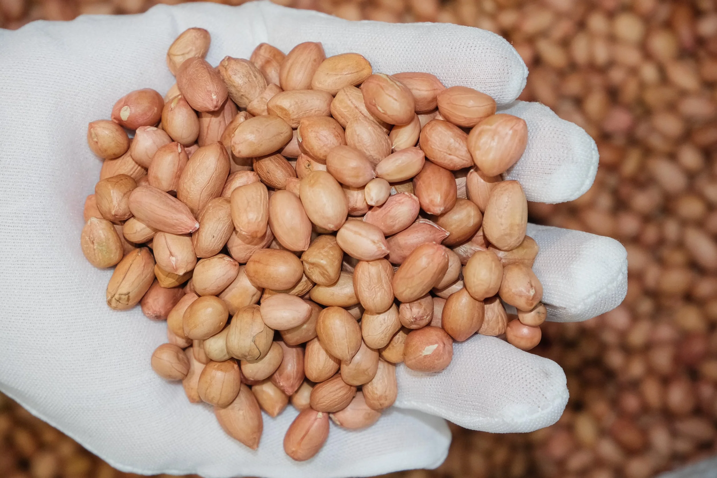 Nguyên liệu Vietural