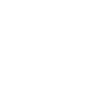 Icon of a shield with a plus sign in the center, representing security or protection.