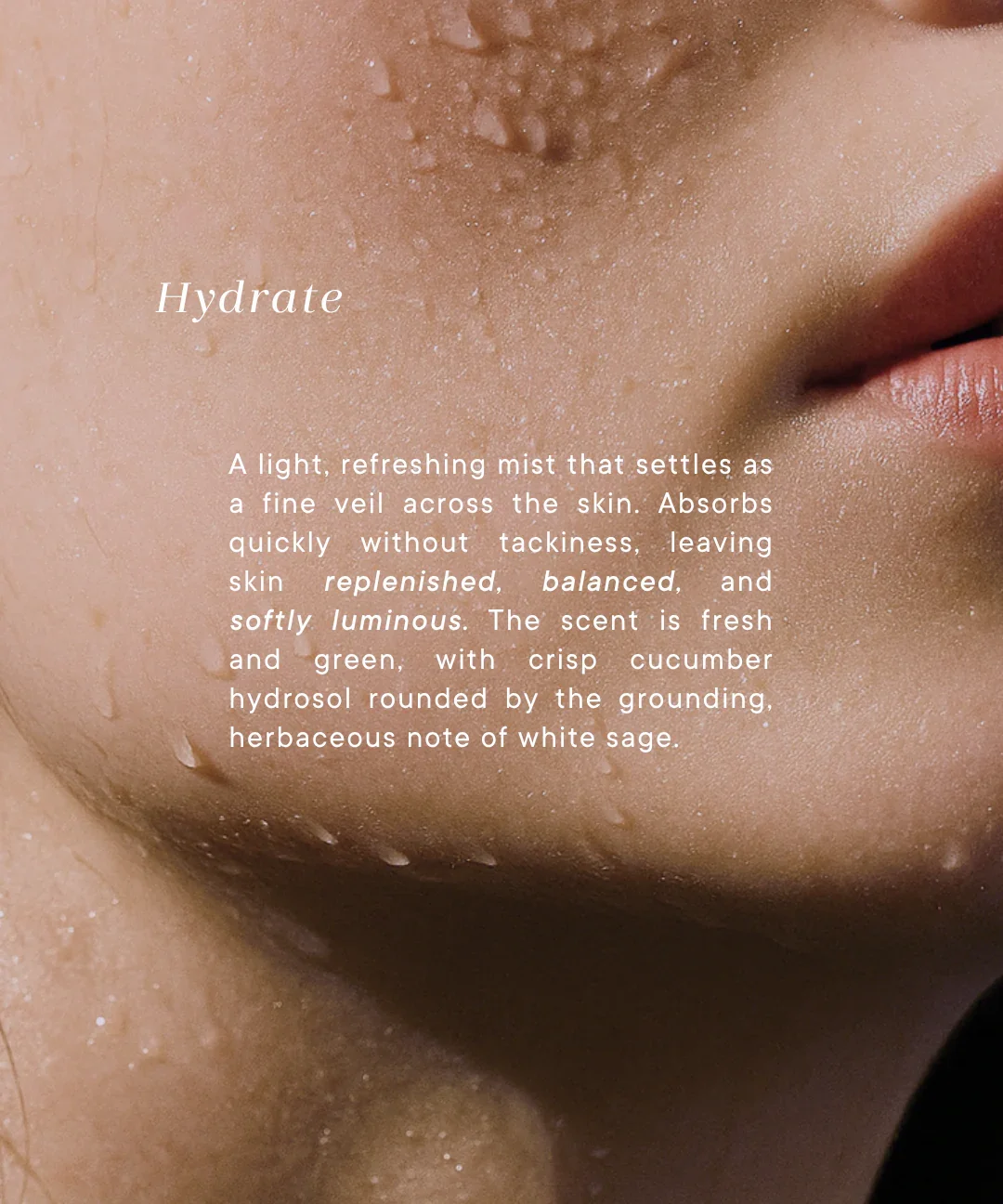 aurora_phytonutrient_facial_mist_4_Shemana_elixir_skincare.webp
