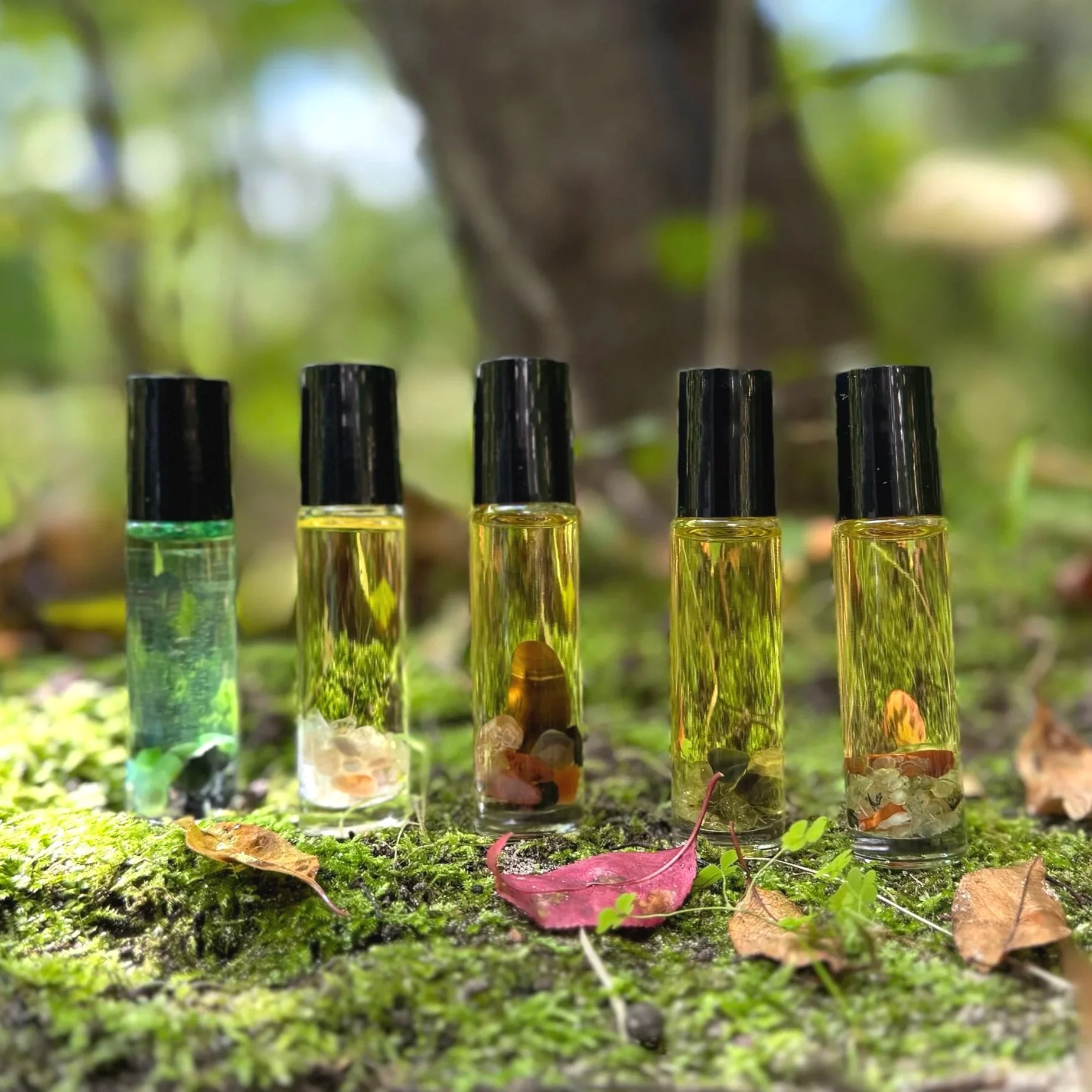 SMALL-BATCH 3 * SPELLBOUND