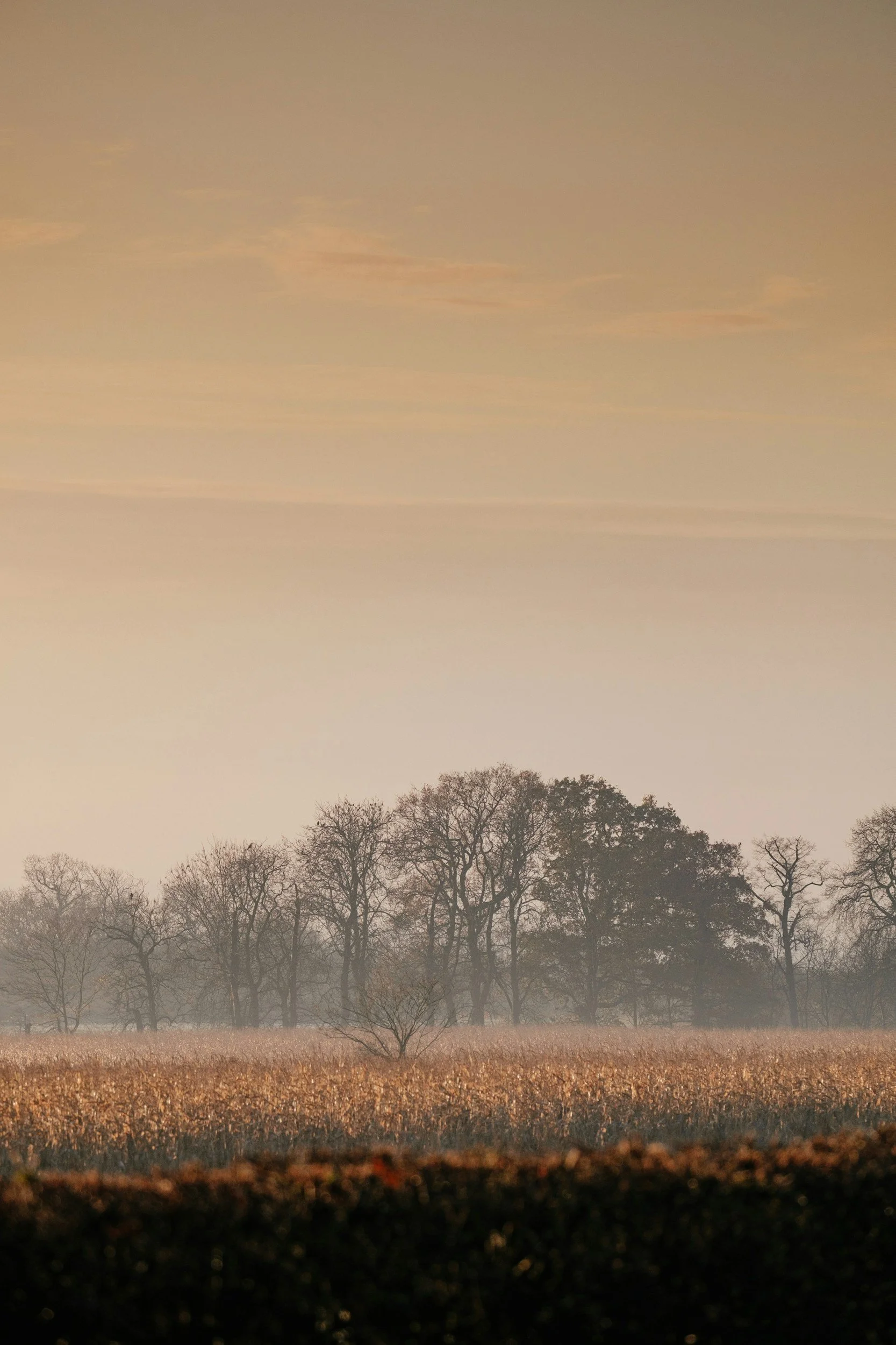 ‘You’re just paid to care’:         Being Professional and            Being Human in Therapy.