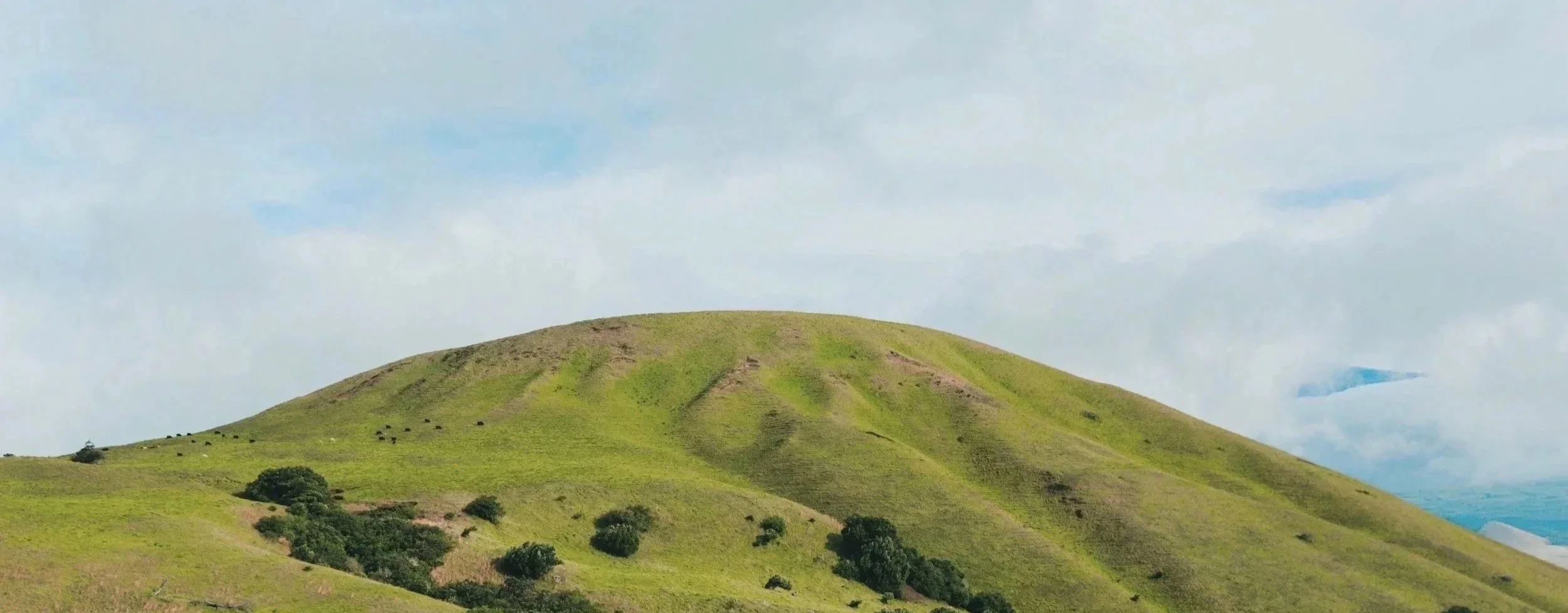 A green rolling hill under a partly cloudy sky with small trees scattered on its slopes (eco-therapy counselling).