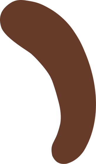 Ein brauner, gebogener Gegenstand, der wie eine Bohne aussieht.