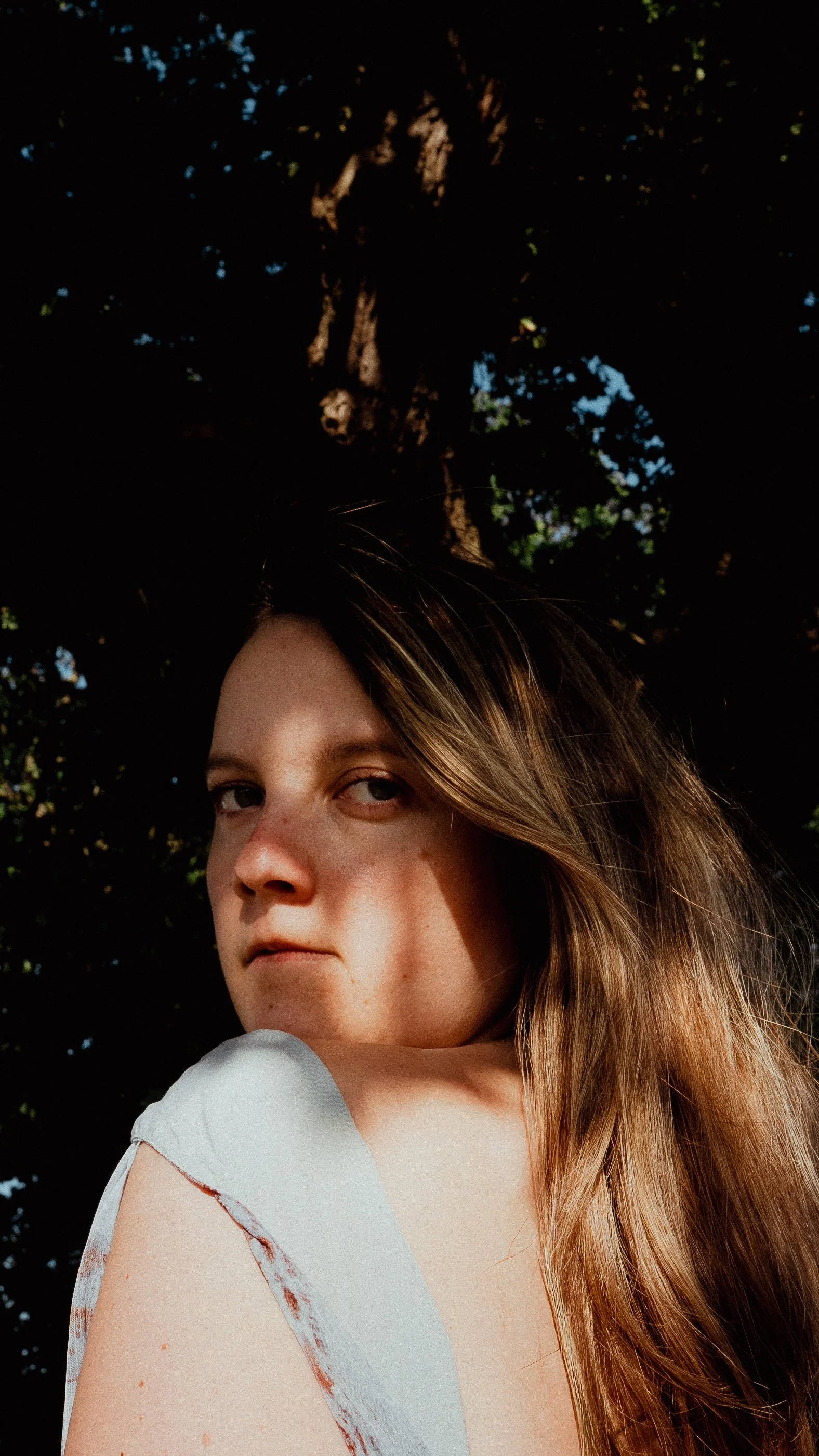 A7405010.jpg