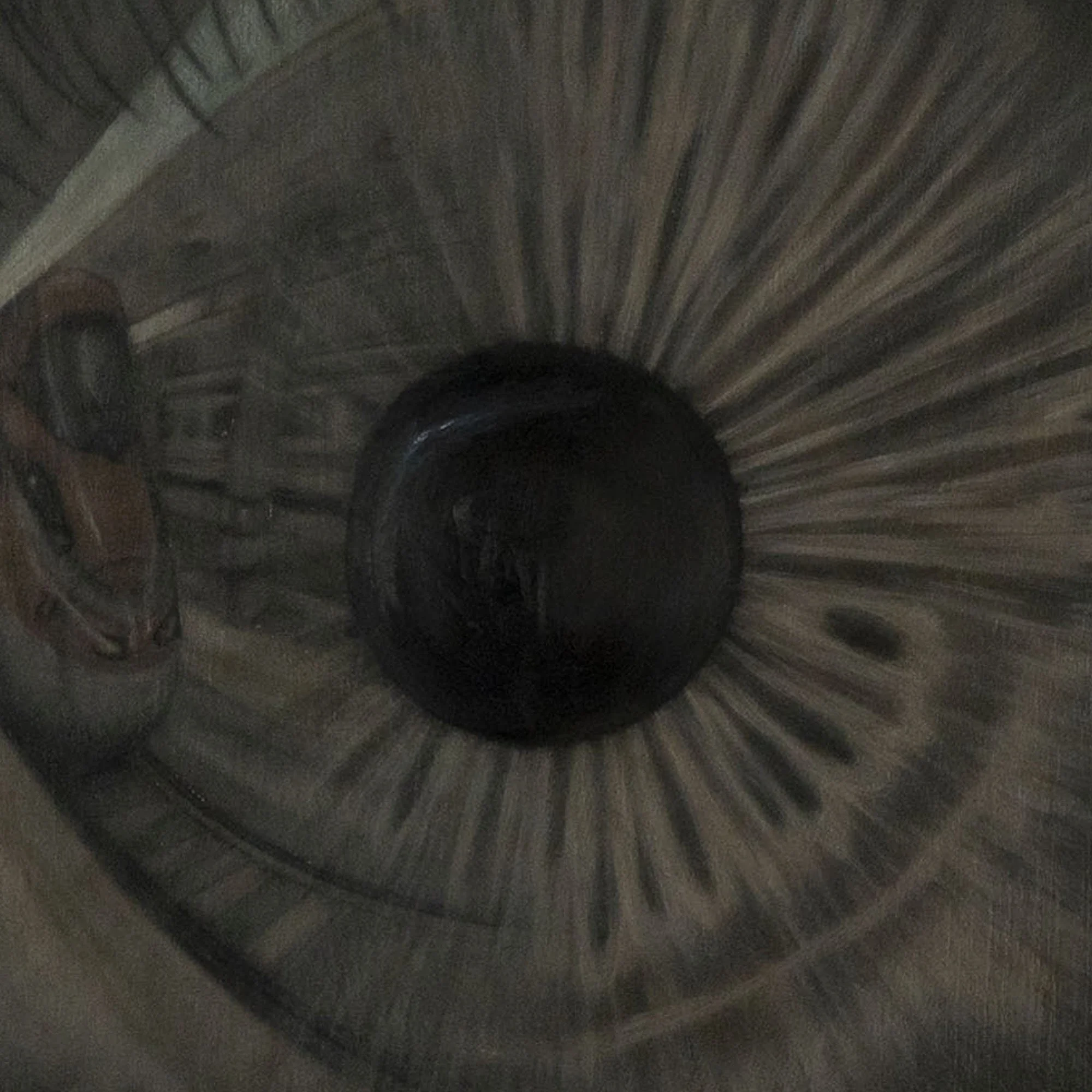 Zoom sulla pupilla nell'occhio dipinto nel quadro figurativo "Lingua lunga" dell'artista Manuel Capaccioli.