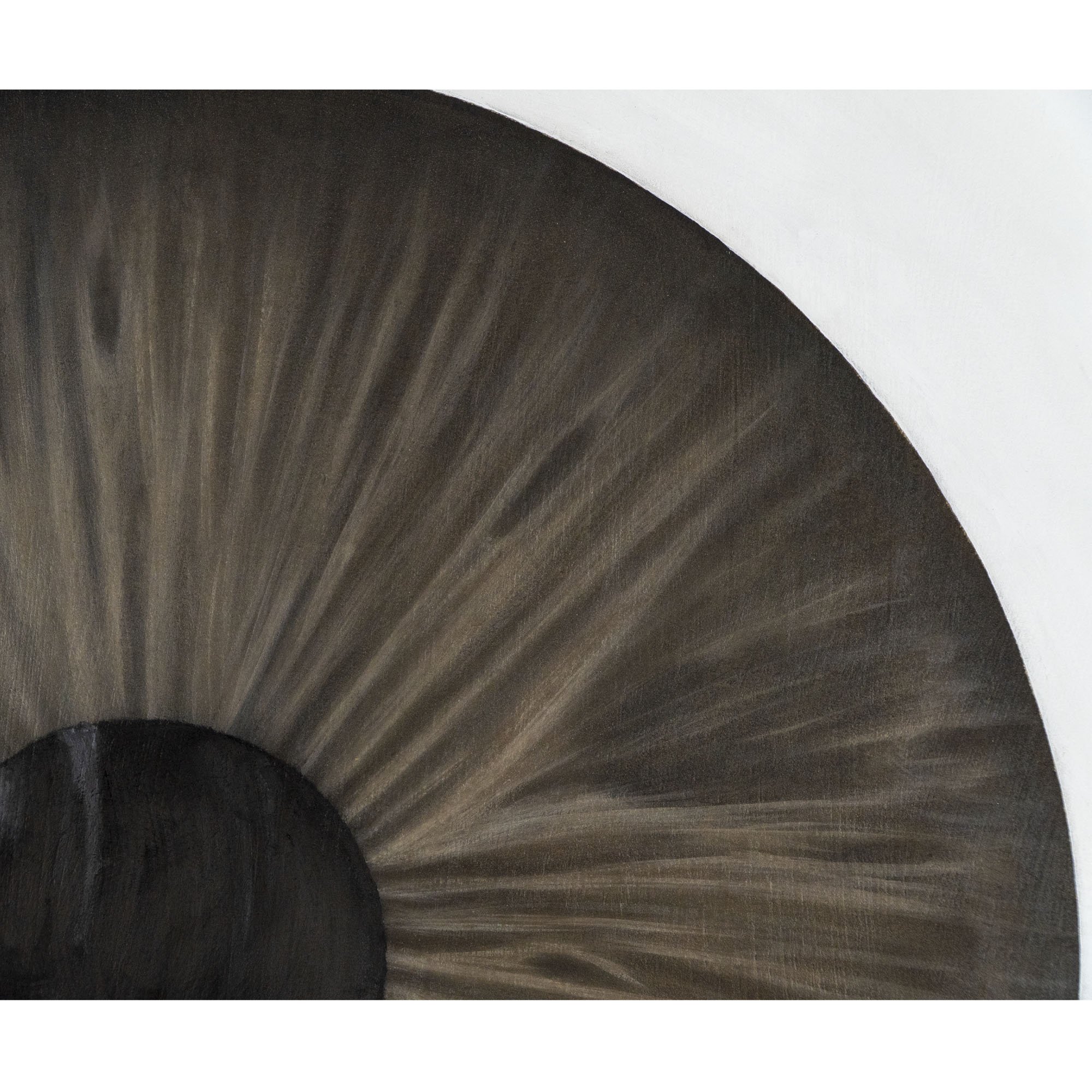 Zoom sull'iride marrone dipinta da Manuel Capaccioli nel quadro figurativo "Un intimo sconosciuto".