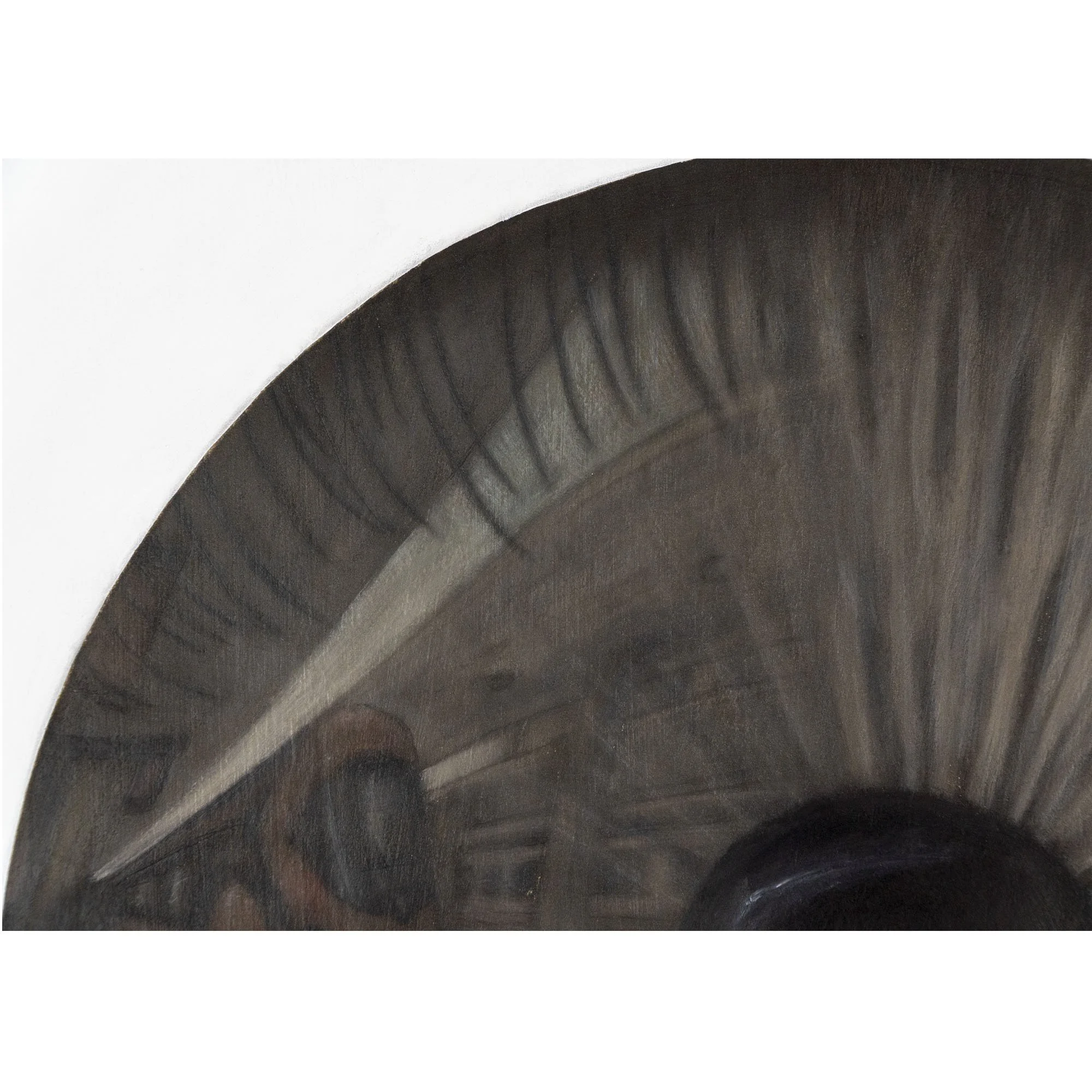 Dettaglio dell'iride dell'occhio marrone su sfondo bianco del quadro "Lingua lunga" dell'artista italiano Manuel capaccioli.