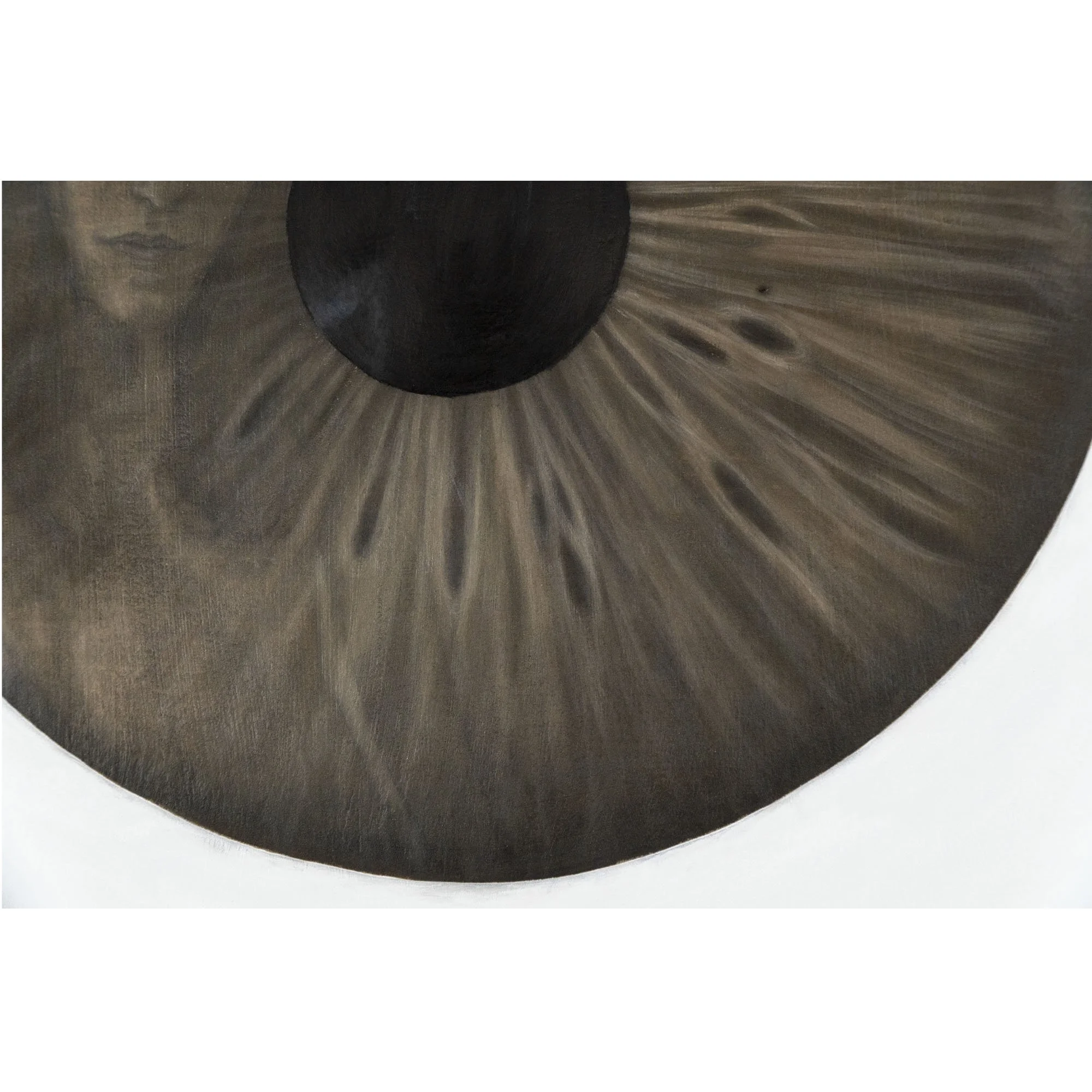 Dettaglio dell'iride marrone nel quadro "Un intimo sconosciuto", dell'artista Manuel Capaccioli.