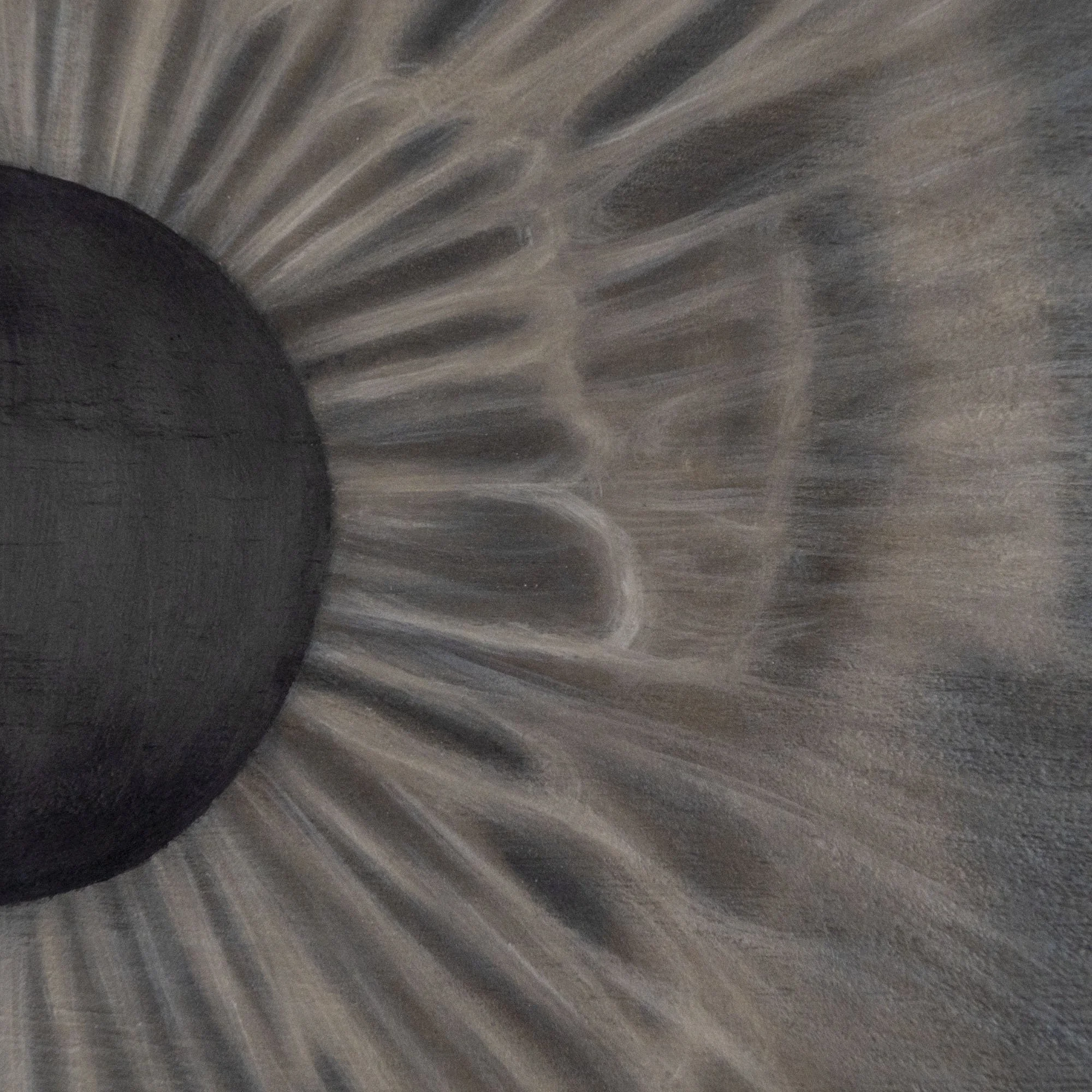 Zoom sull'iride marrone nel quadro figurativo espressionista "Il mio bravo ragazzo" del pittore Manuel Capaccioli.