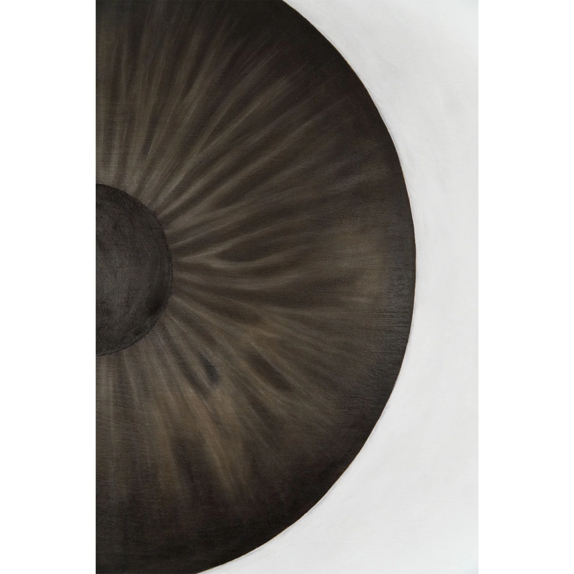 Dettaglio dell'iride nel quadro "L'appartamento" di Manuel Capaccioli.