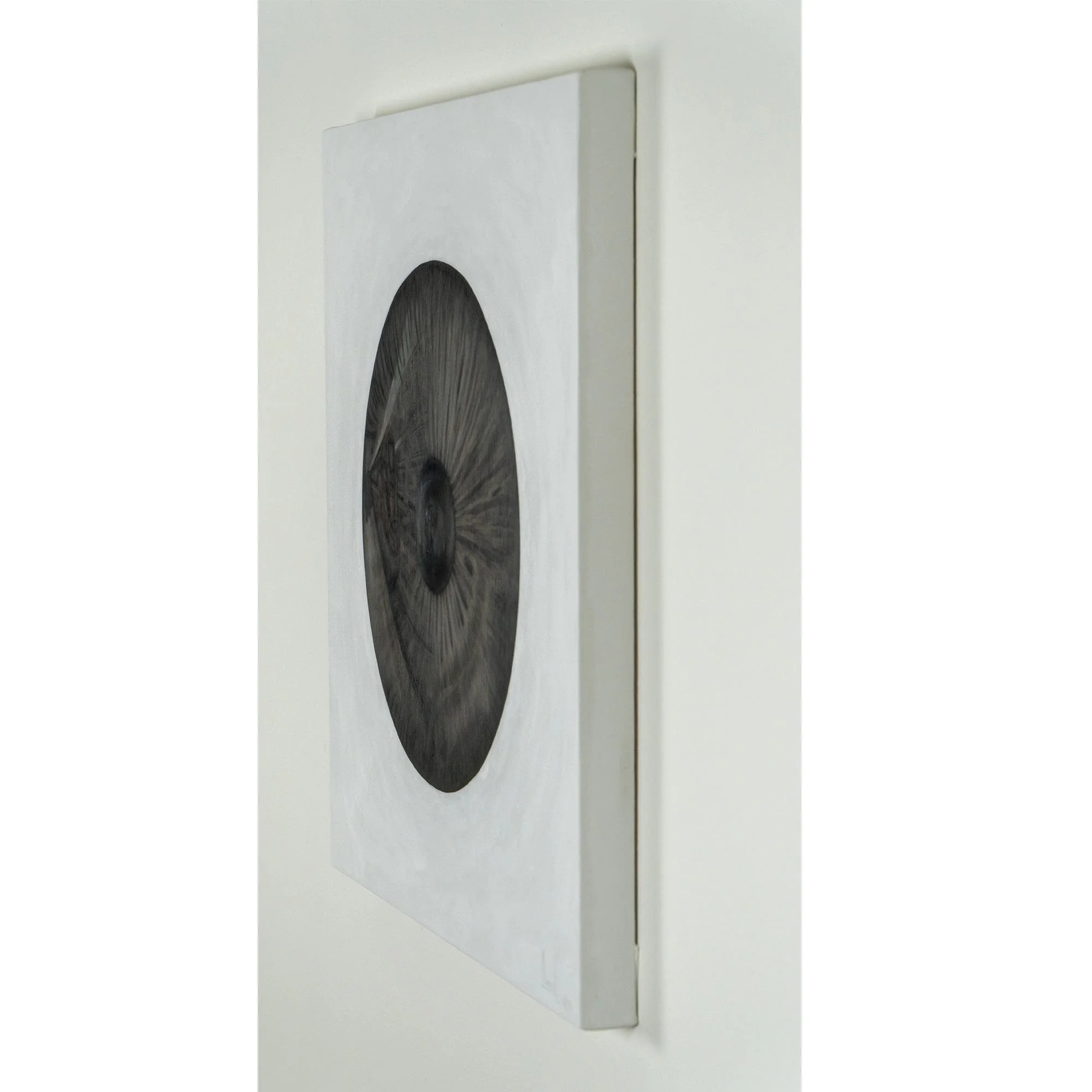 Vista di 3/4 del quadro "Lingua lunga" appeso alla parete, dipinto dall'artista italiano Manuel Capaccioli.