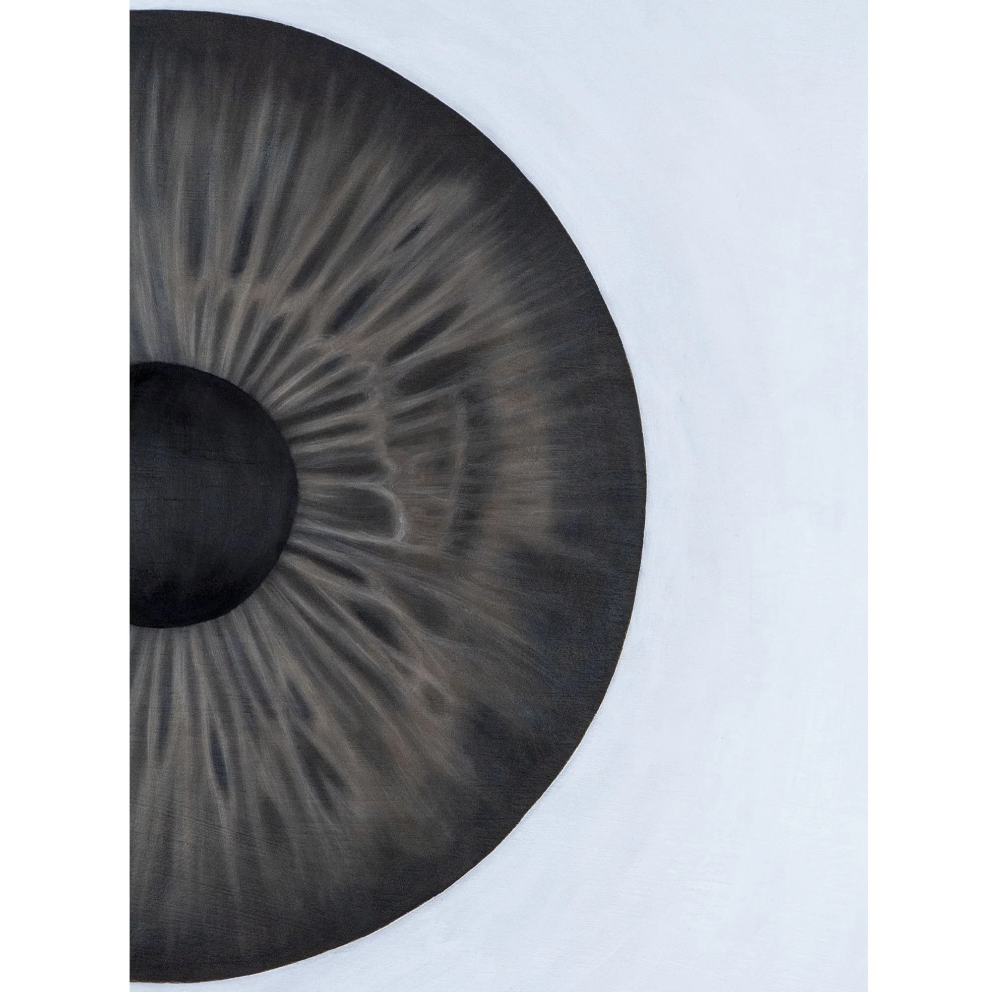 Stretta sull'iride marrone nel quadro figurativo "Il mio bravo ragazzo" del pittore italiano Manuel Capaccioli.